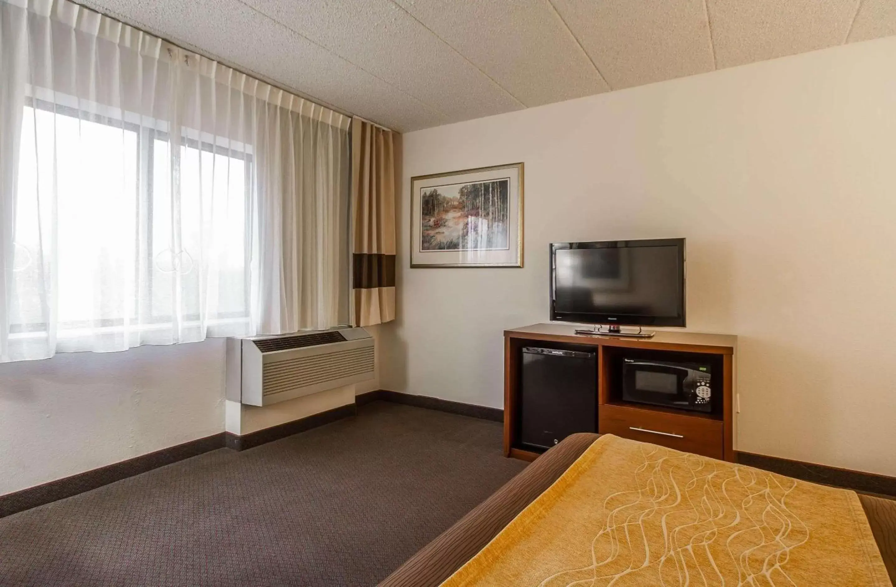 Photo of the whole room, TV/Entertainment Center in Comfort Inn & Suites Madison - Airport