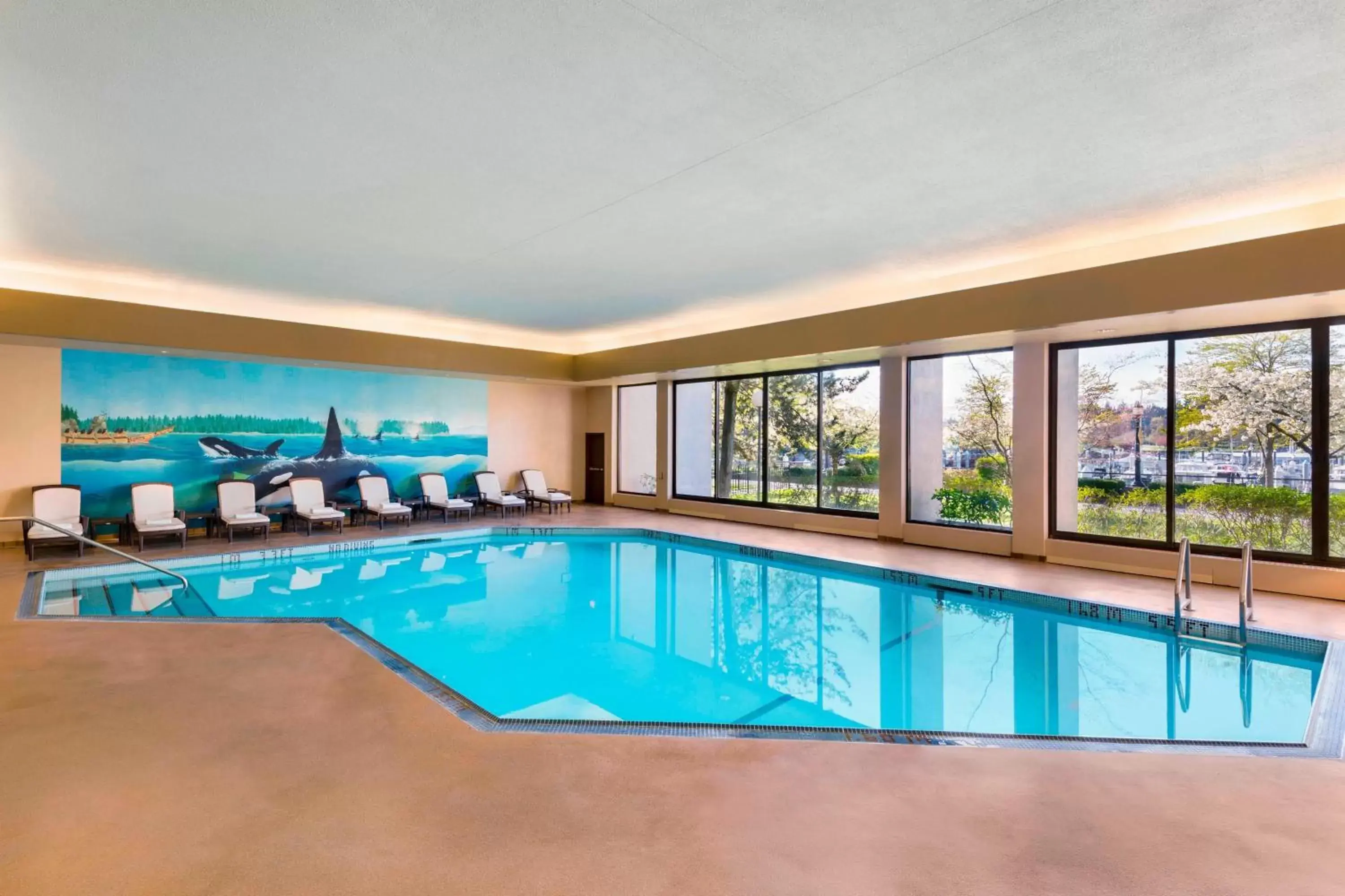 Swimming Pool in The Westin Bayshore, Vancouver