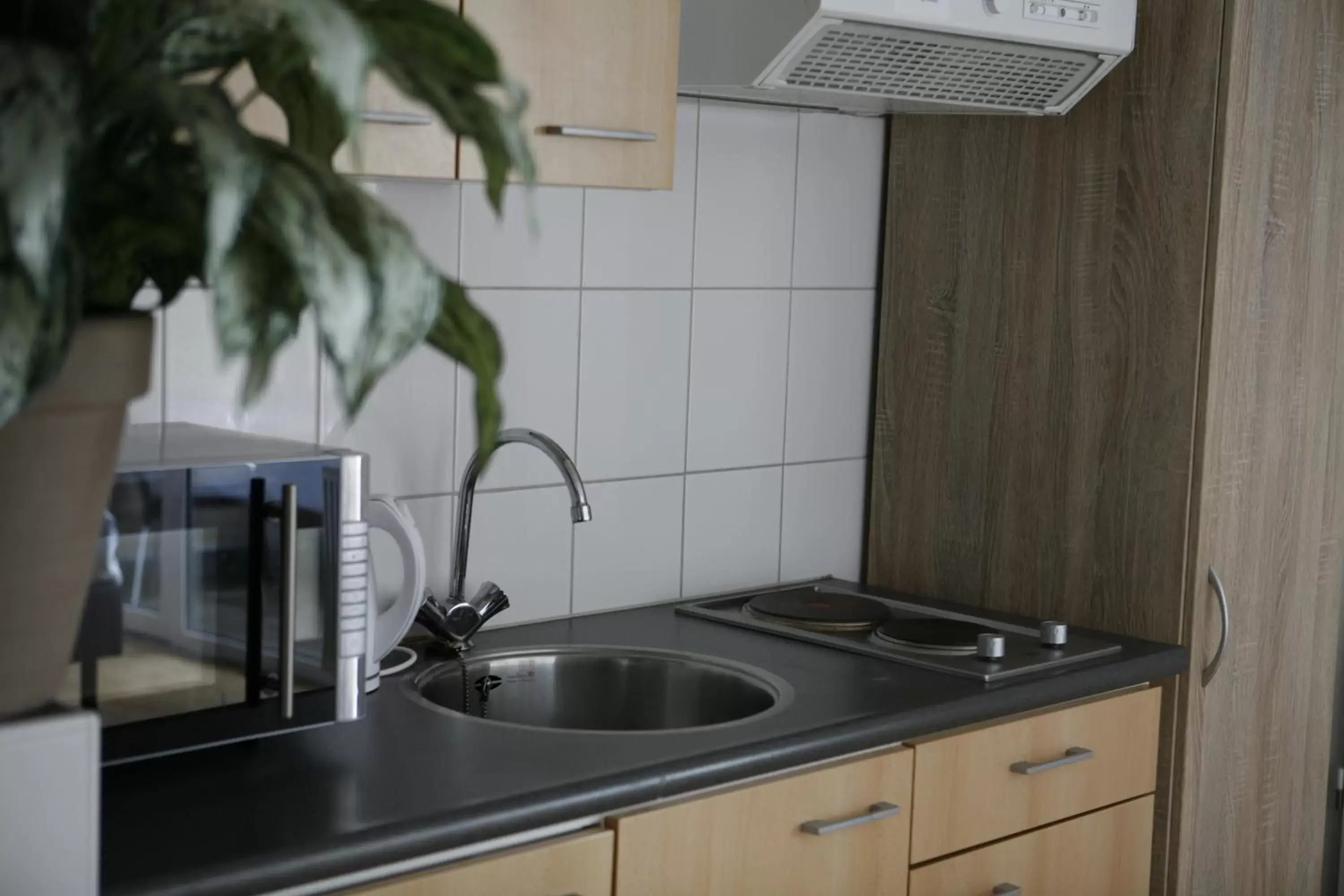 Kitchen or kitchenette, Kitchen/Kitchenette in Hotel & Appartementen - De Zeven Heuvelen