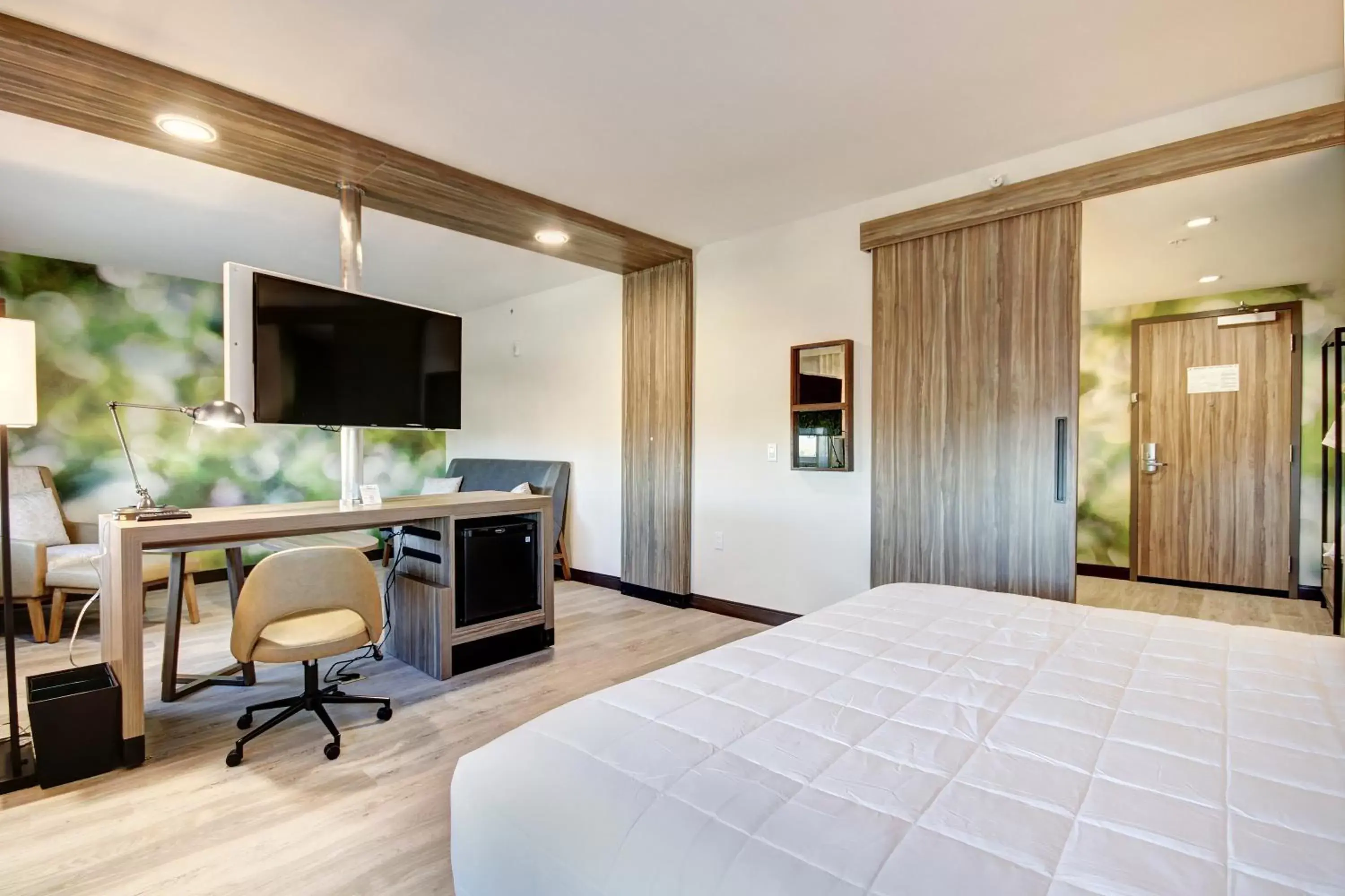 Bed, TV/Entertainment Center in Wyndham Garden Sacramento Airport Natomas