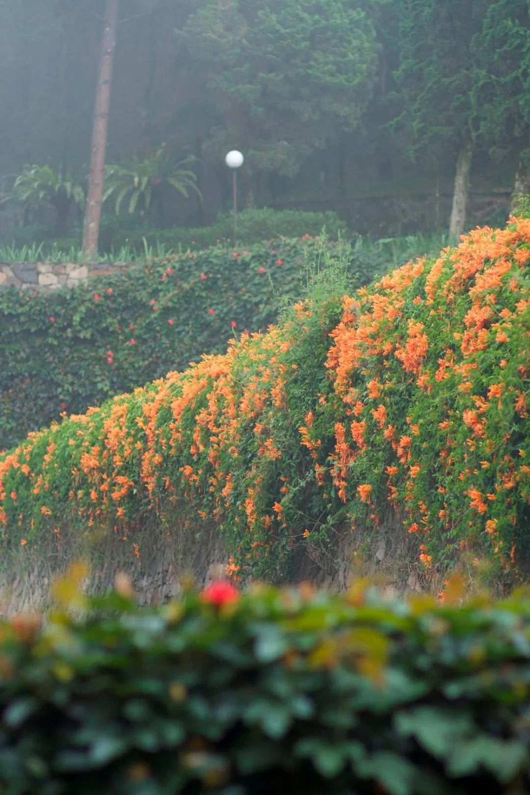 Spring in Puteri Gunung Hotel