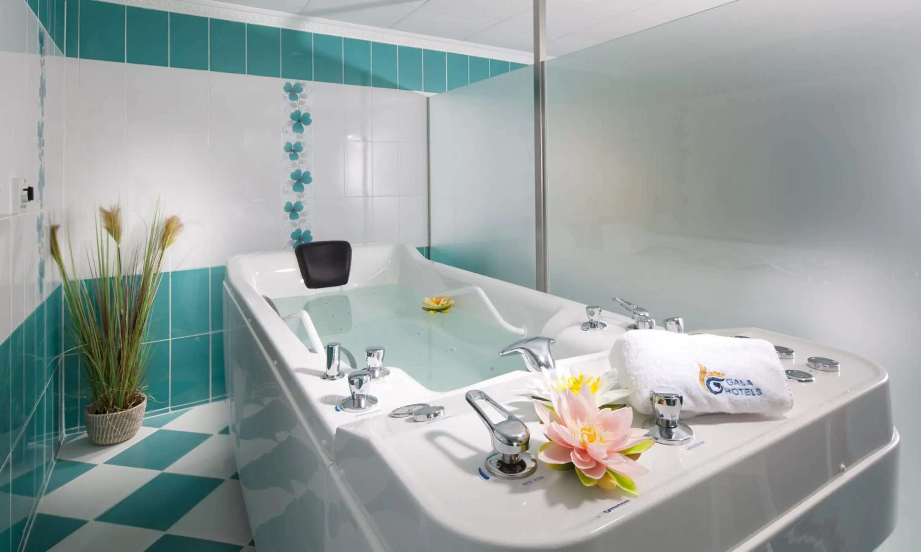 Spa and wellness centre/facilities, Bathroom in Hotel Excelsior