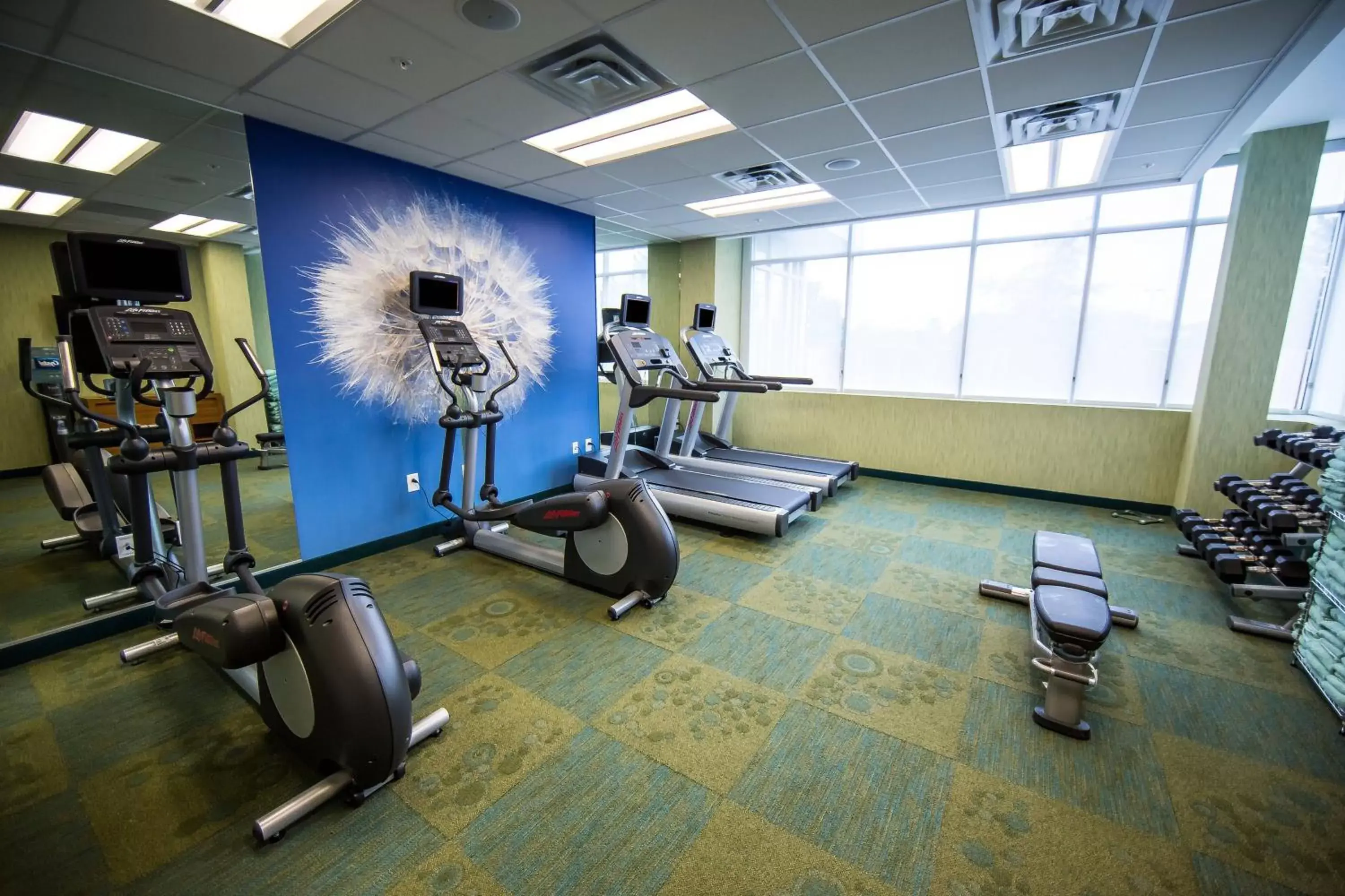 Fitness centre/facilities, Fitness Center/Facilities in SpringHill Suites Lumberton