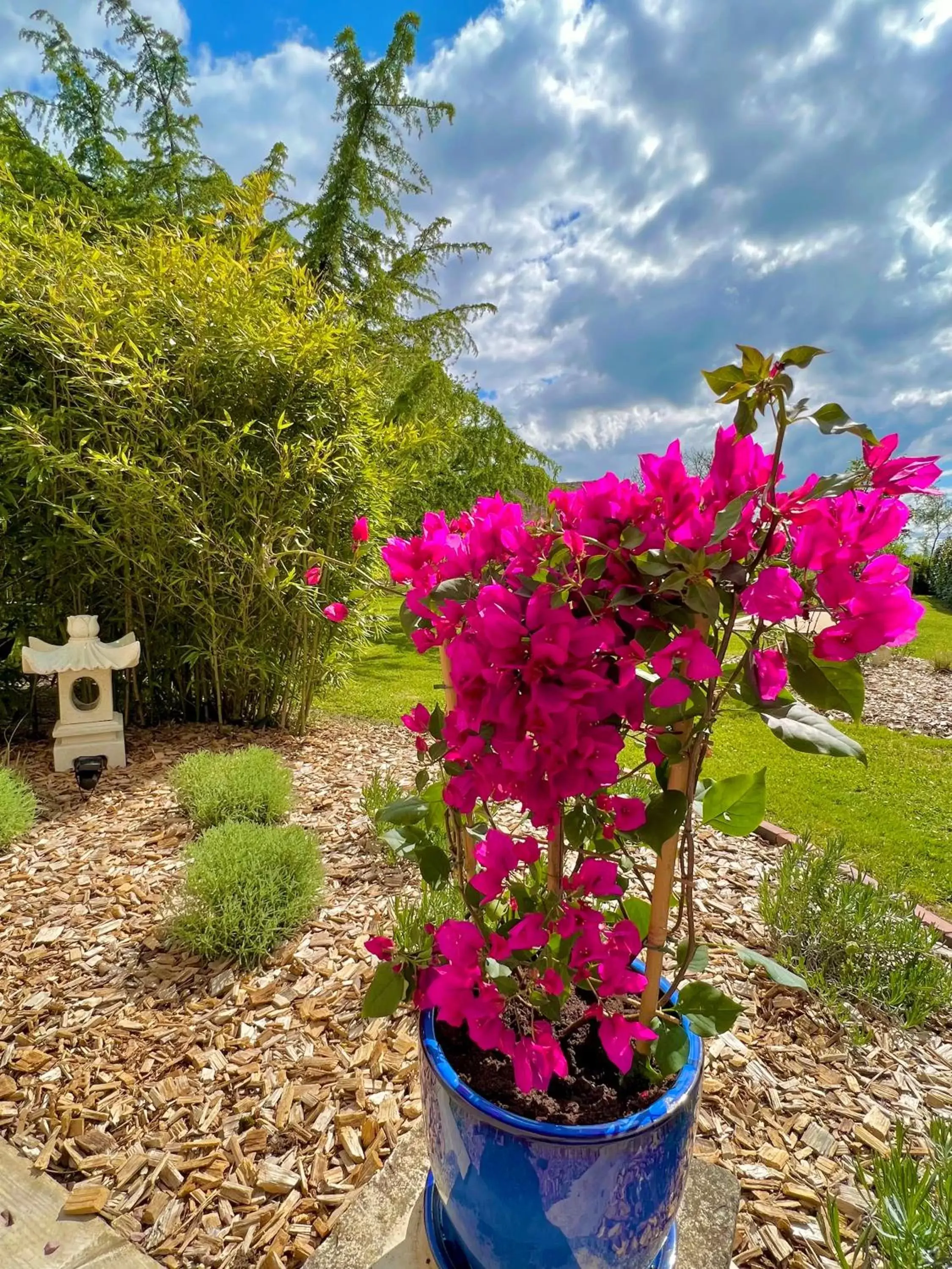 Garden in GSand Le Clos du May