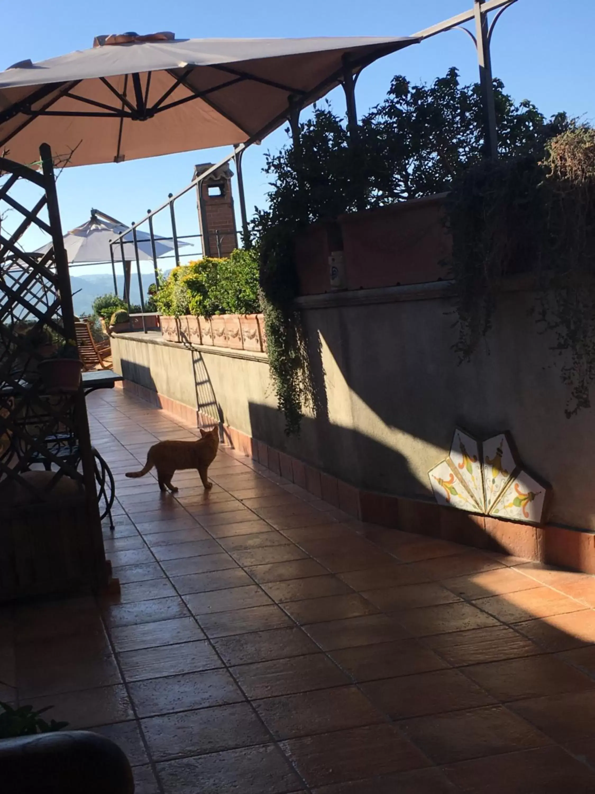 Balcony/Terrace in B&B MontAlbano