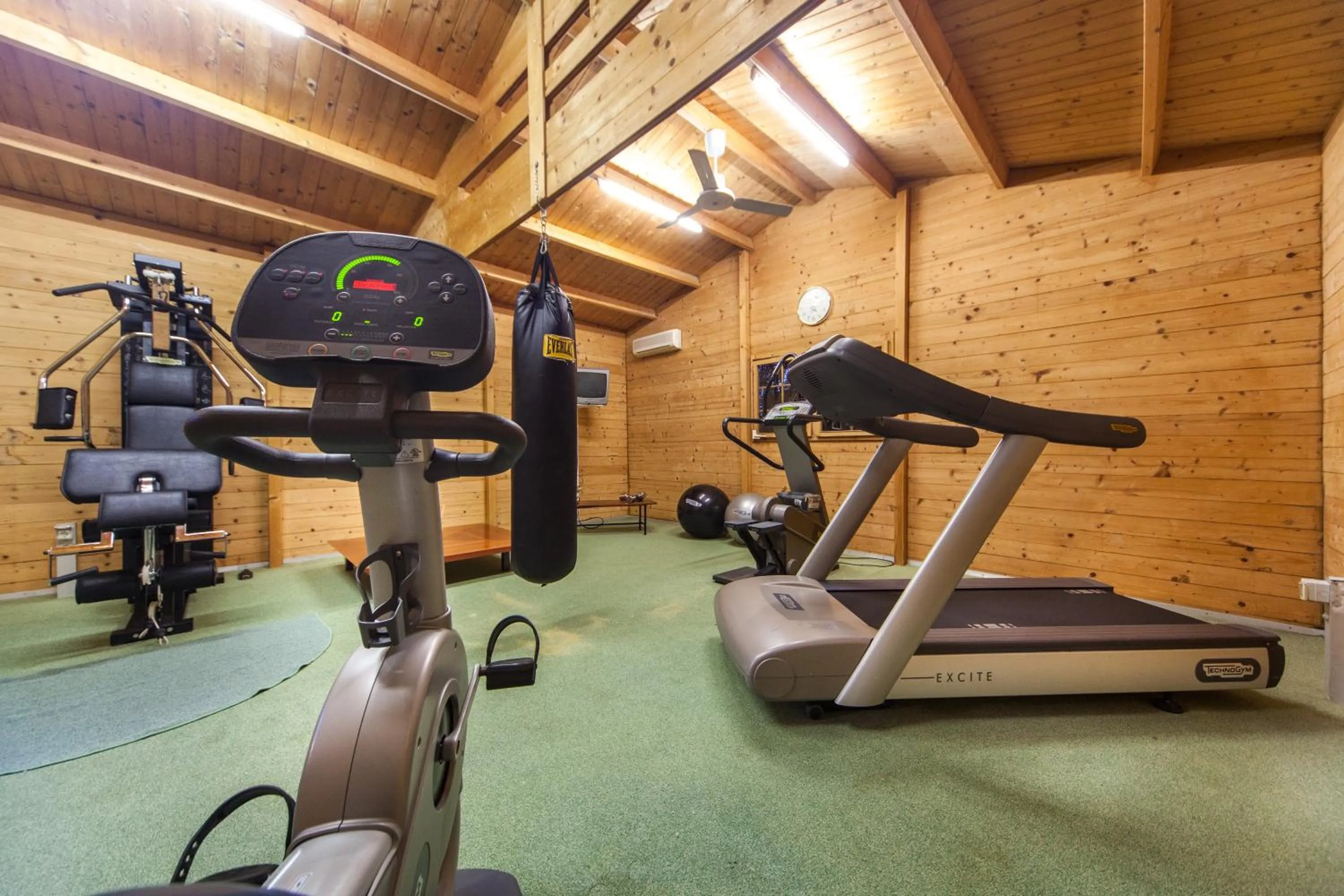 Fitness centre/facilities in Hotel Aurelia