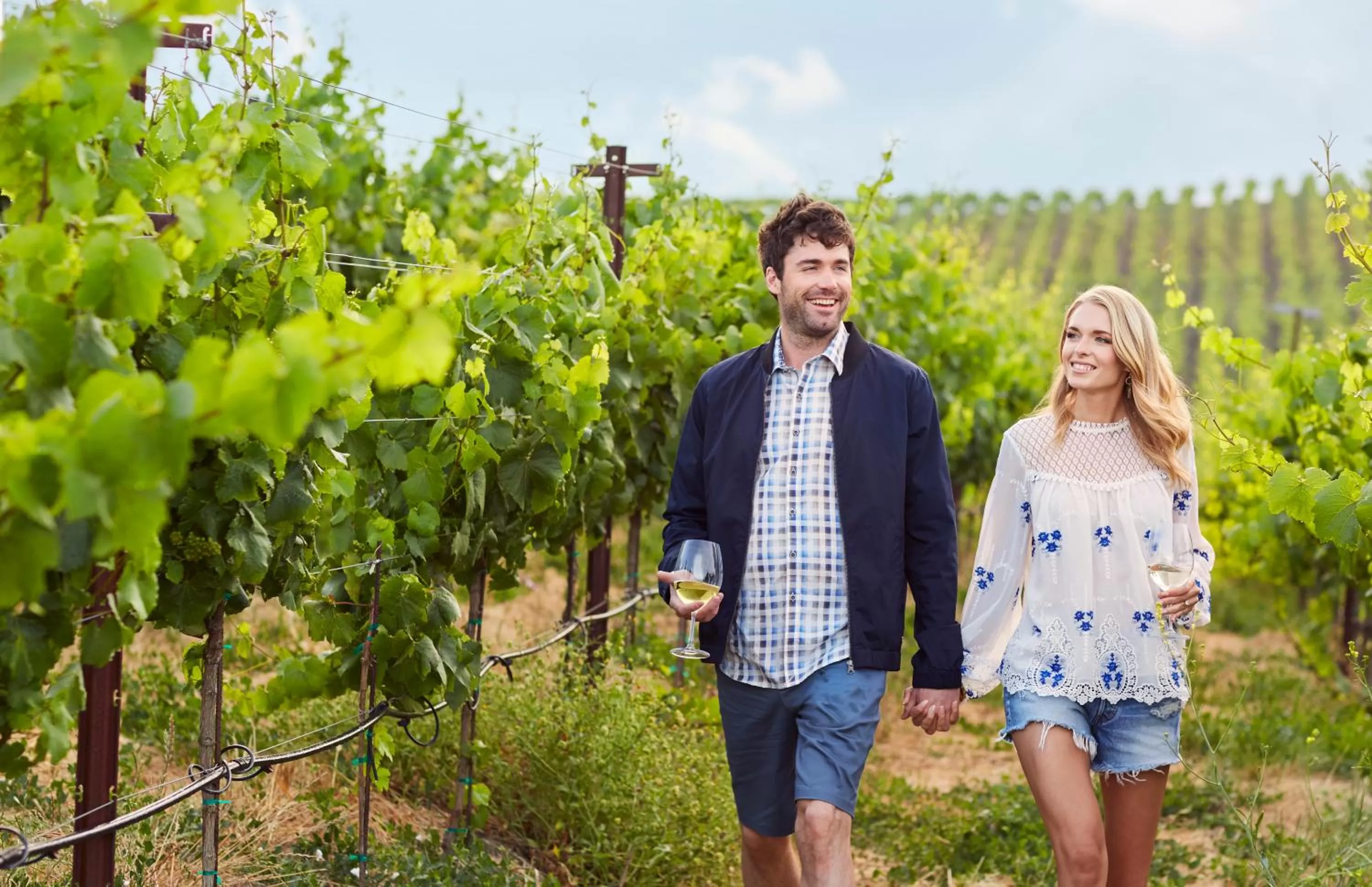 Area and facilities in Carneros Resort and Spa