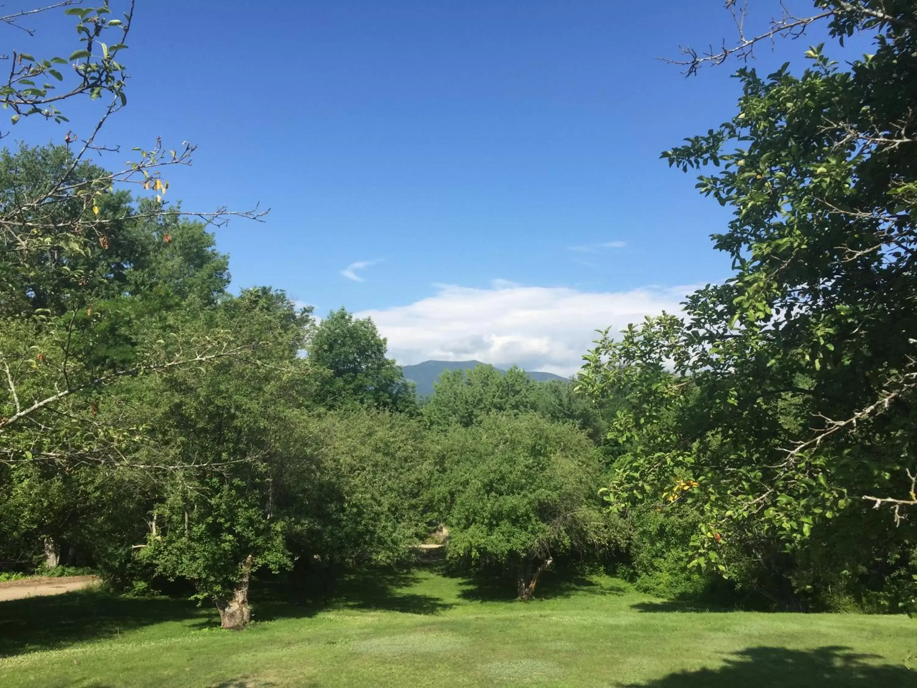 Day in Briarcliff Motel Day in Briarcliff Motel