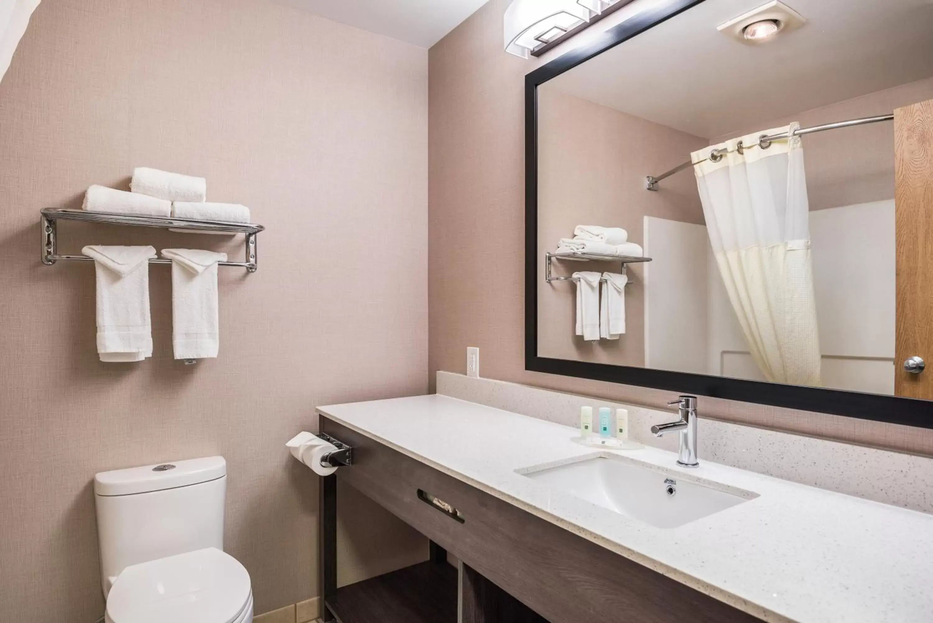 Bathroom in Quality Inn & Suites Missoula