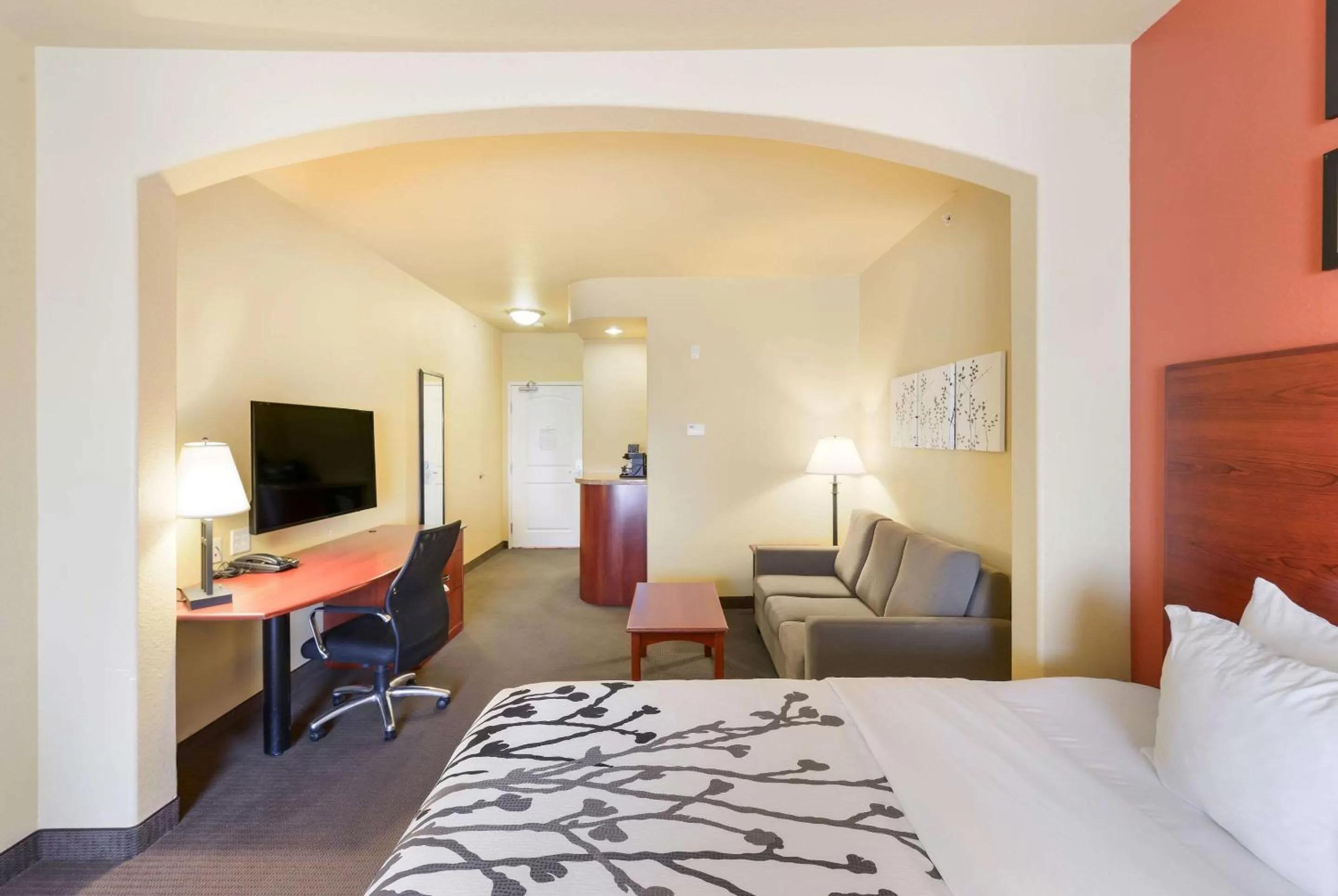 Photo of the whole room, Bed in Sleep Inn & Suites Midland West