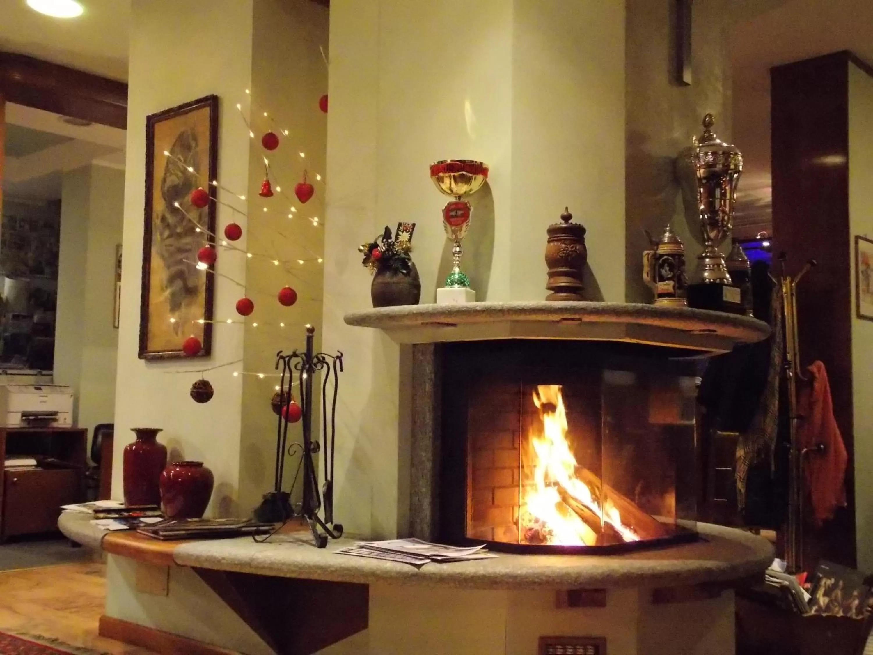 Communal lounge/ TV room in Hotel Elena