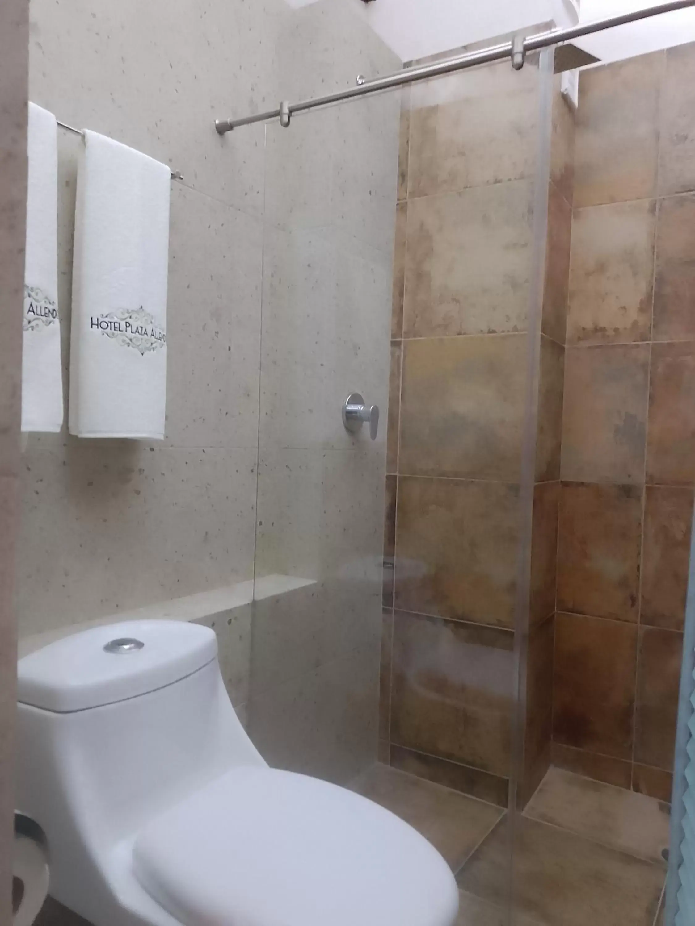 Bathroom in Hotel Sonno Plaza Allende