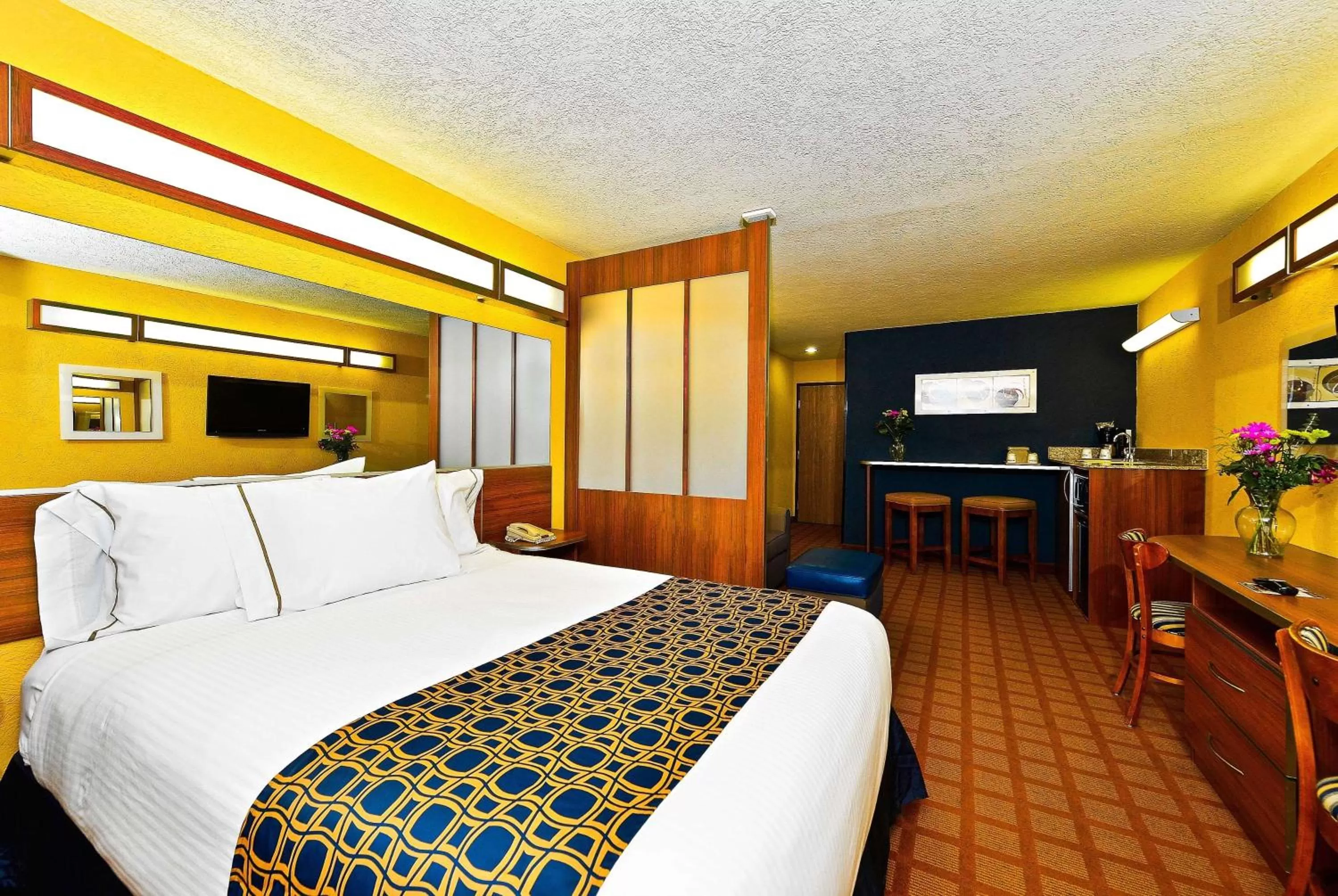 Photo of the whole room, Bed in Microtel Inn & Suites by Wyndham New Braunfels I-35