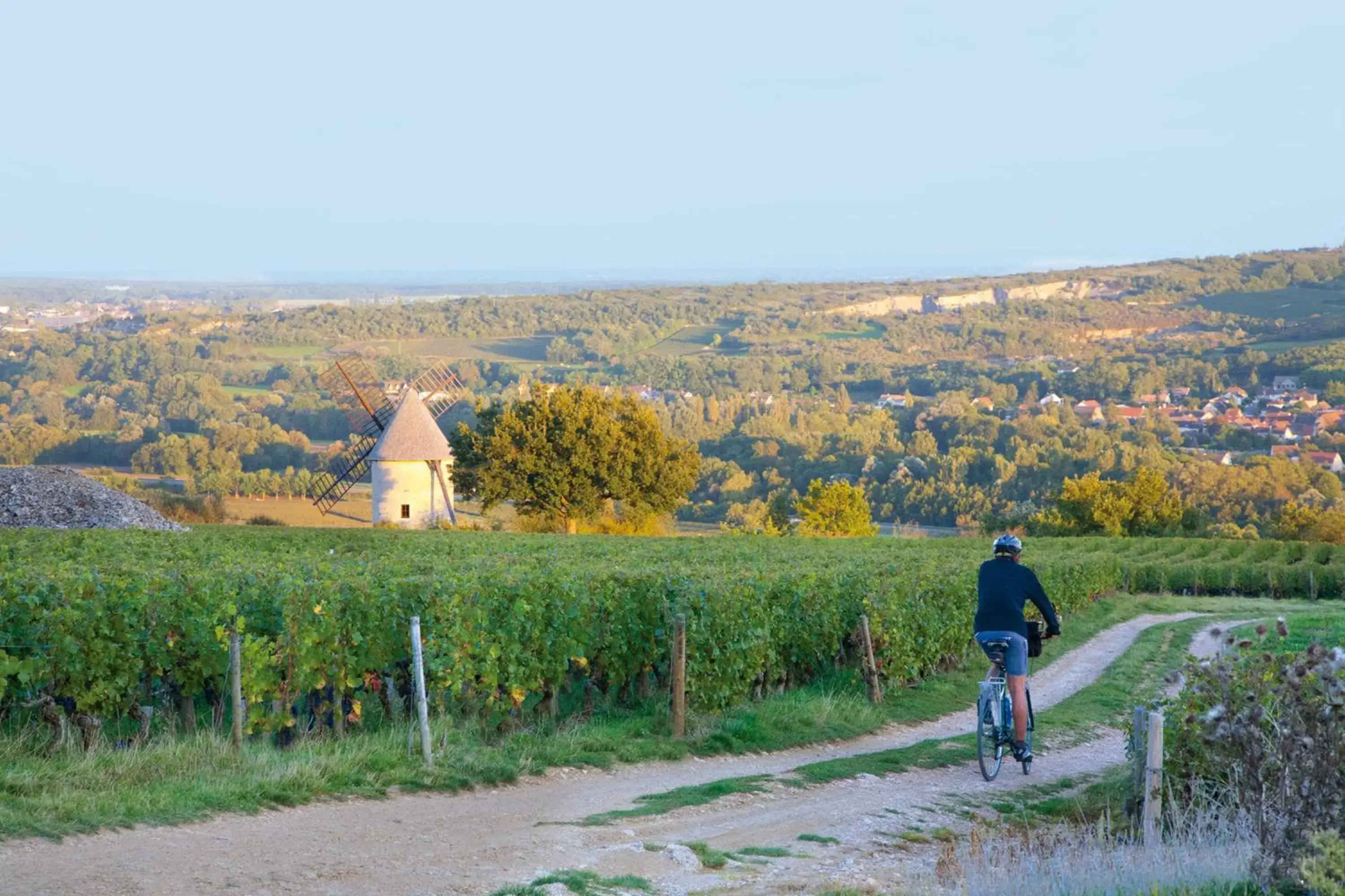 Natural Landscape in Vini Hotel