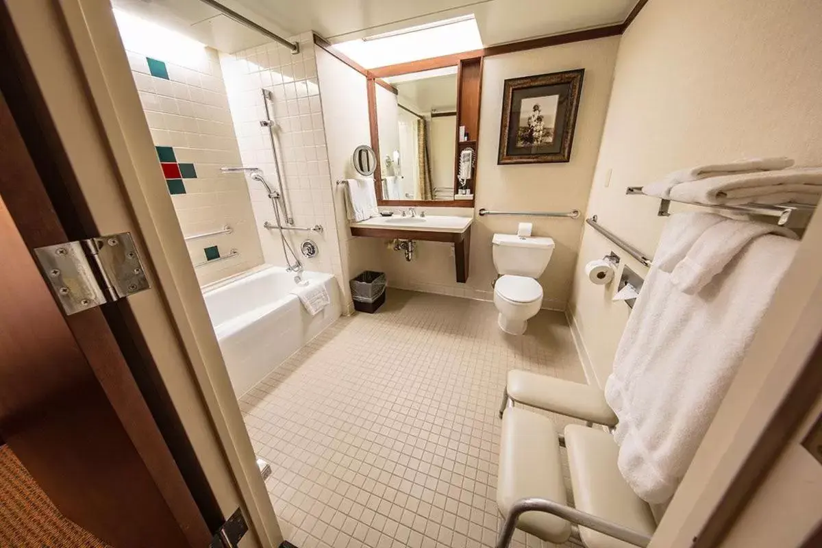 Bathroom in Alyeska Resort