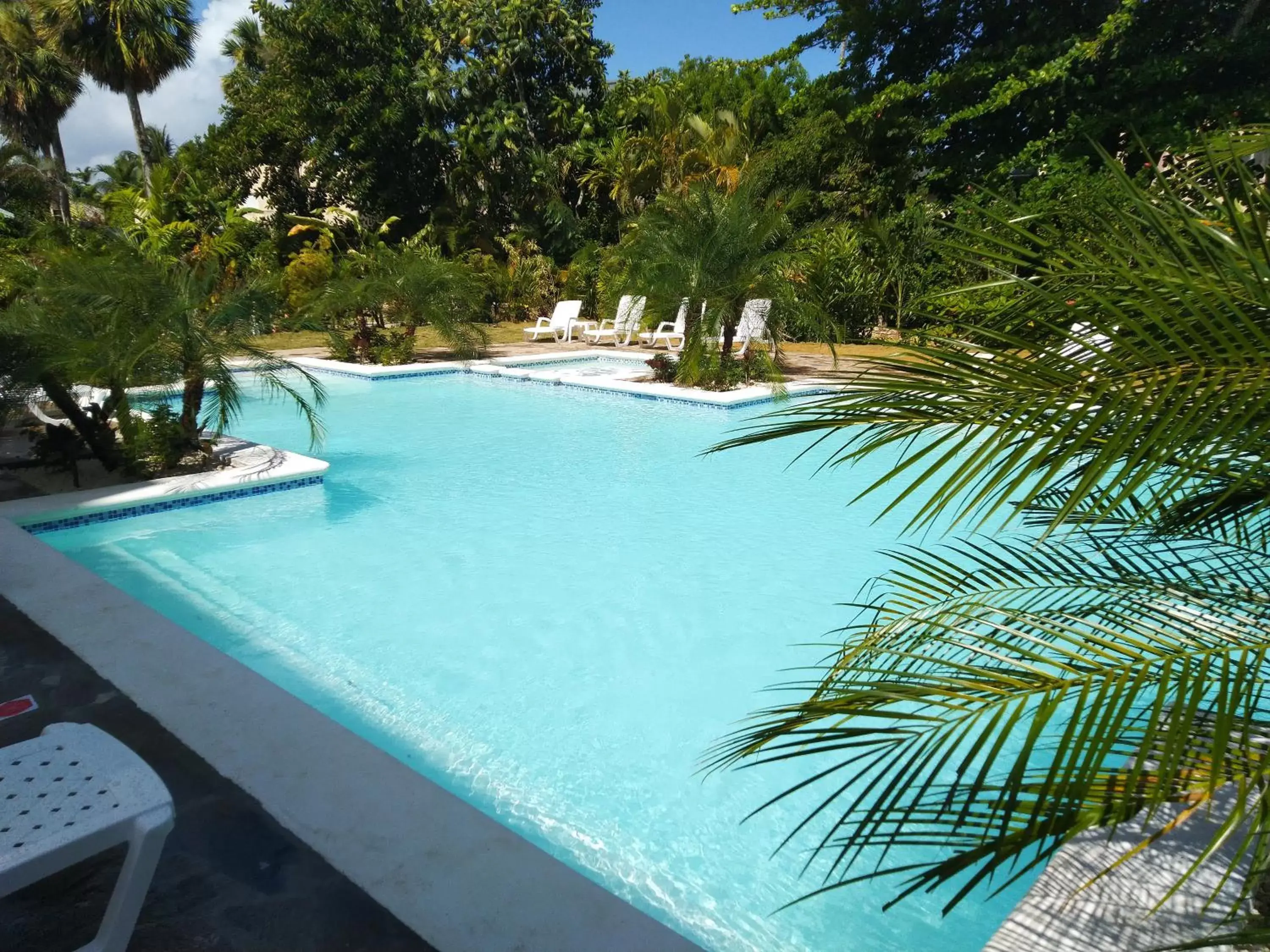 Swimming Pool in Hotel Coco Plaza