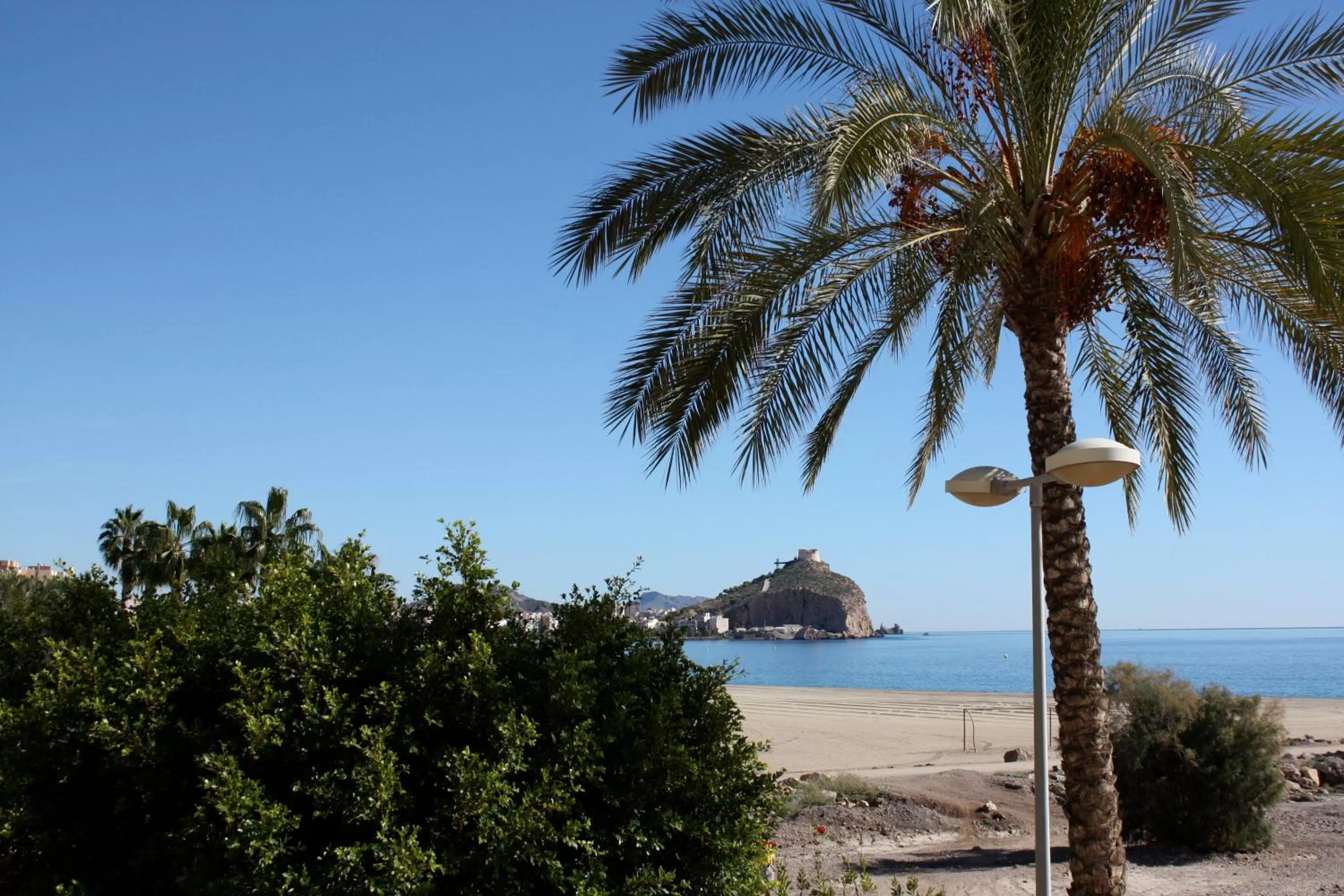 Other in Senator Águilas