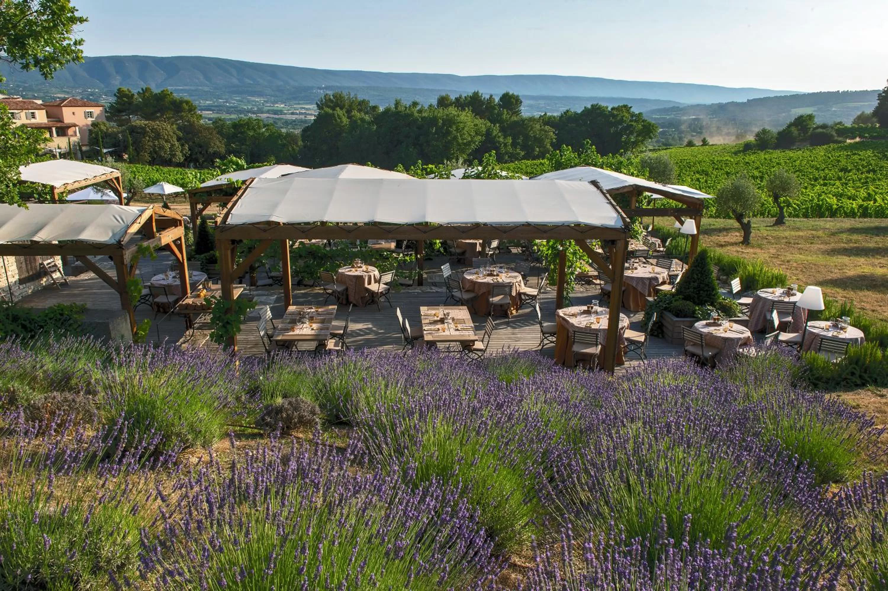 Garden view in Coquillade Provence - Relais & Châteaux