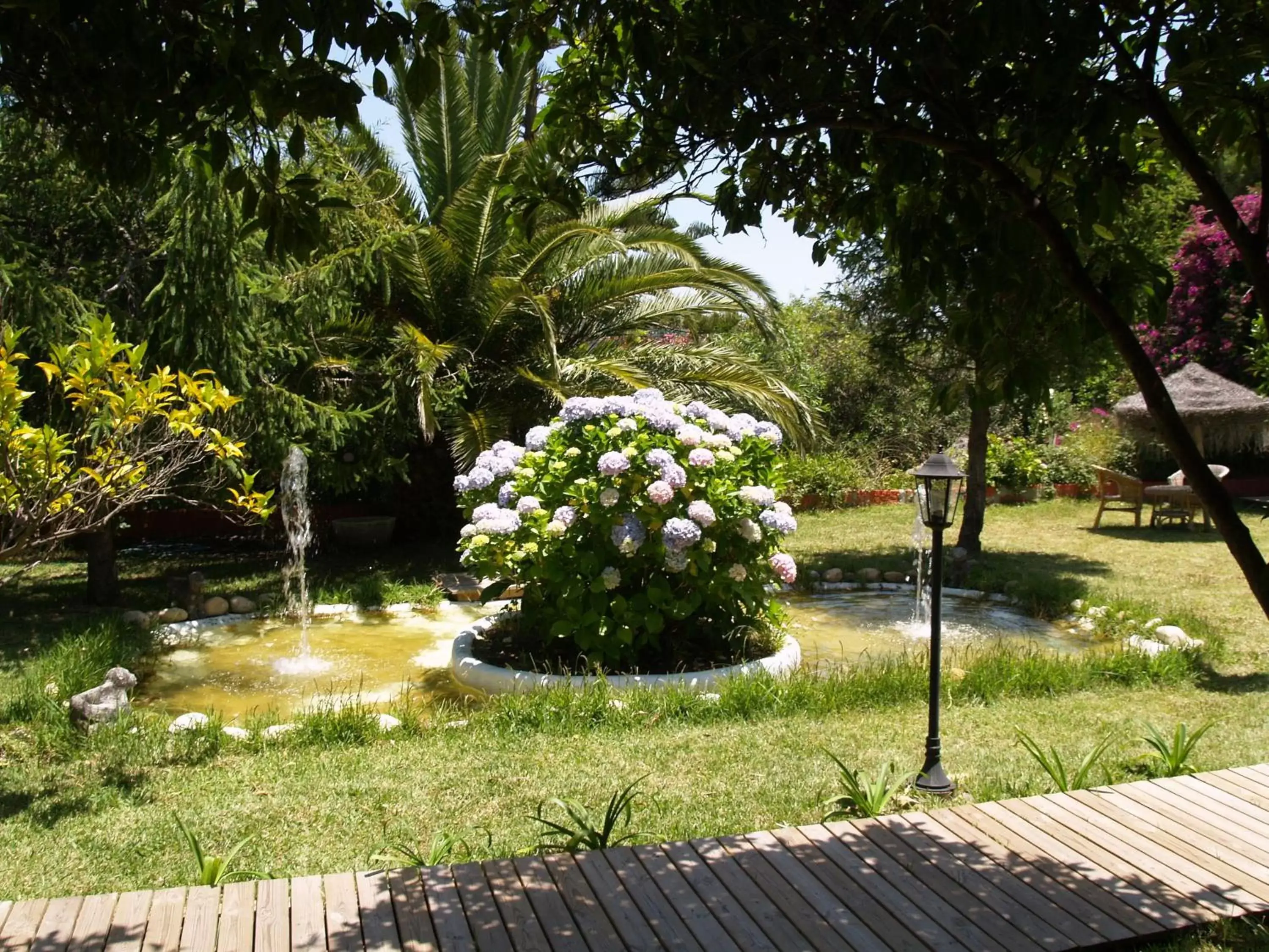 Garden in Mesón de Sancho