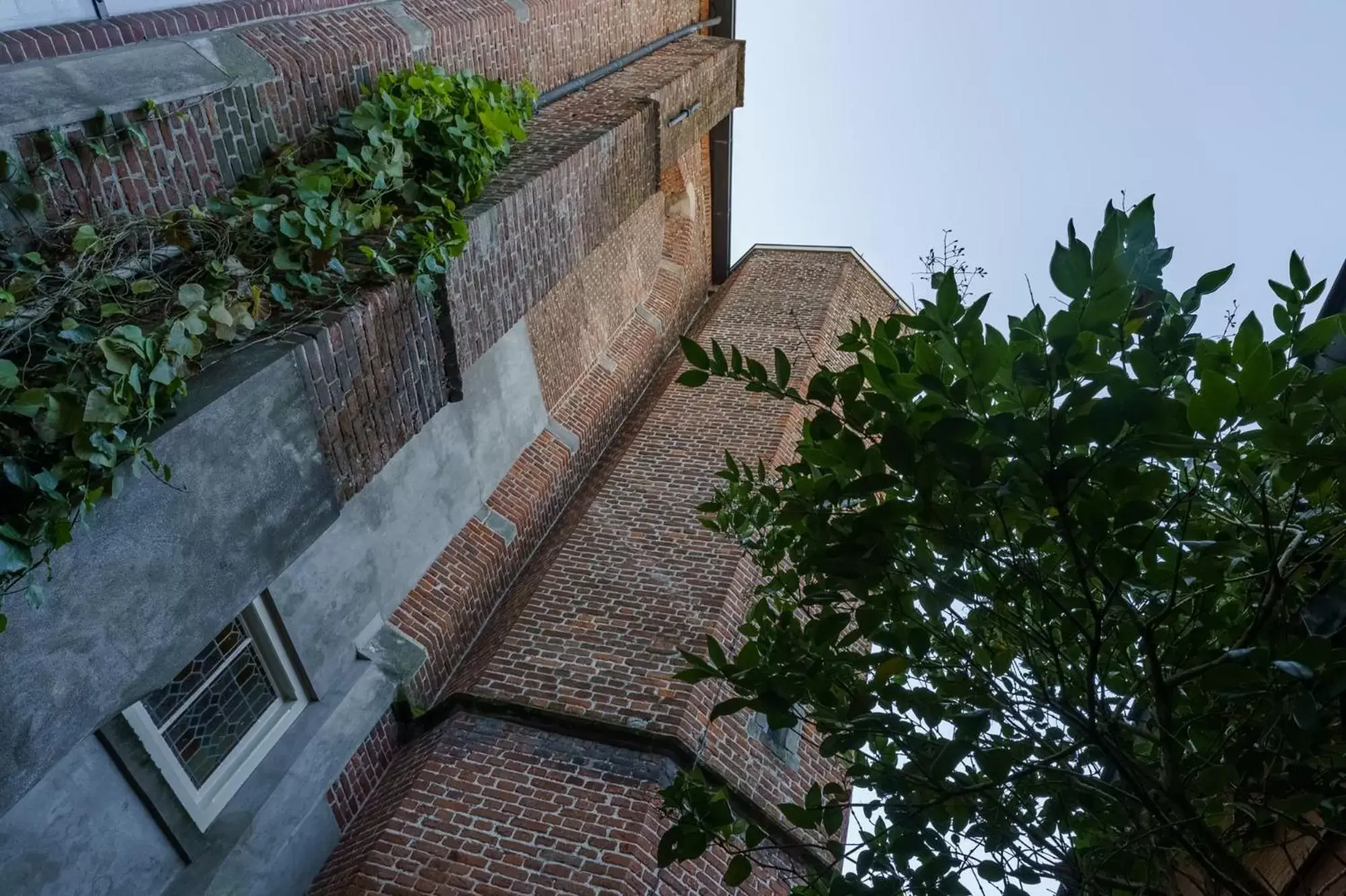 View (from property/room), Property Building in De Stadsboerderij