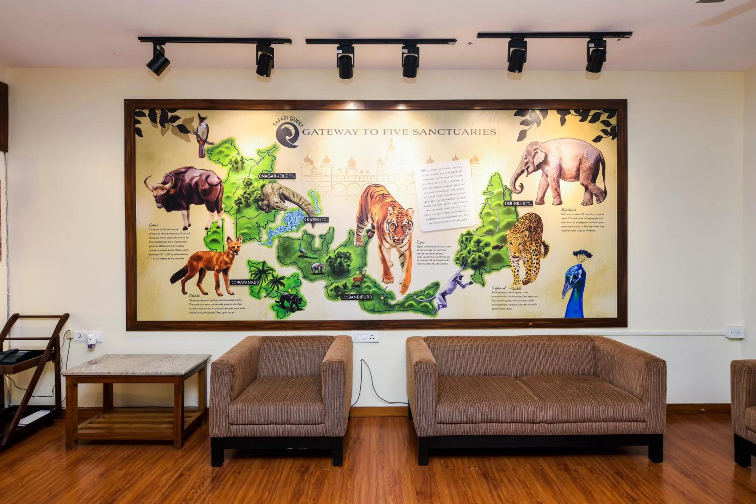 Communal lounge/ TV room in SAFARI QUEST