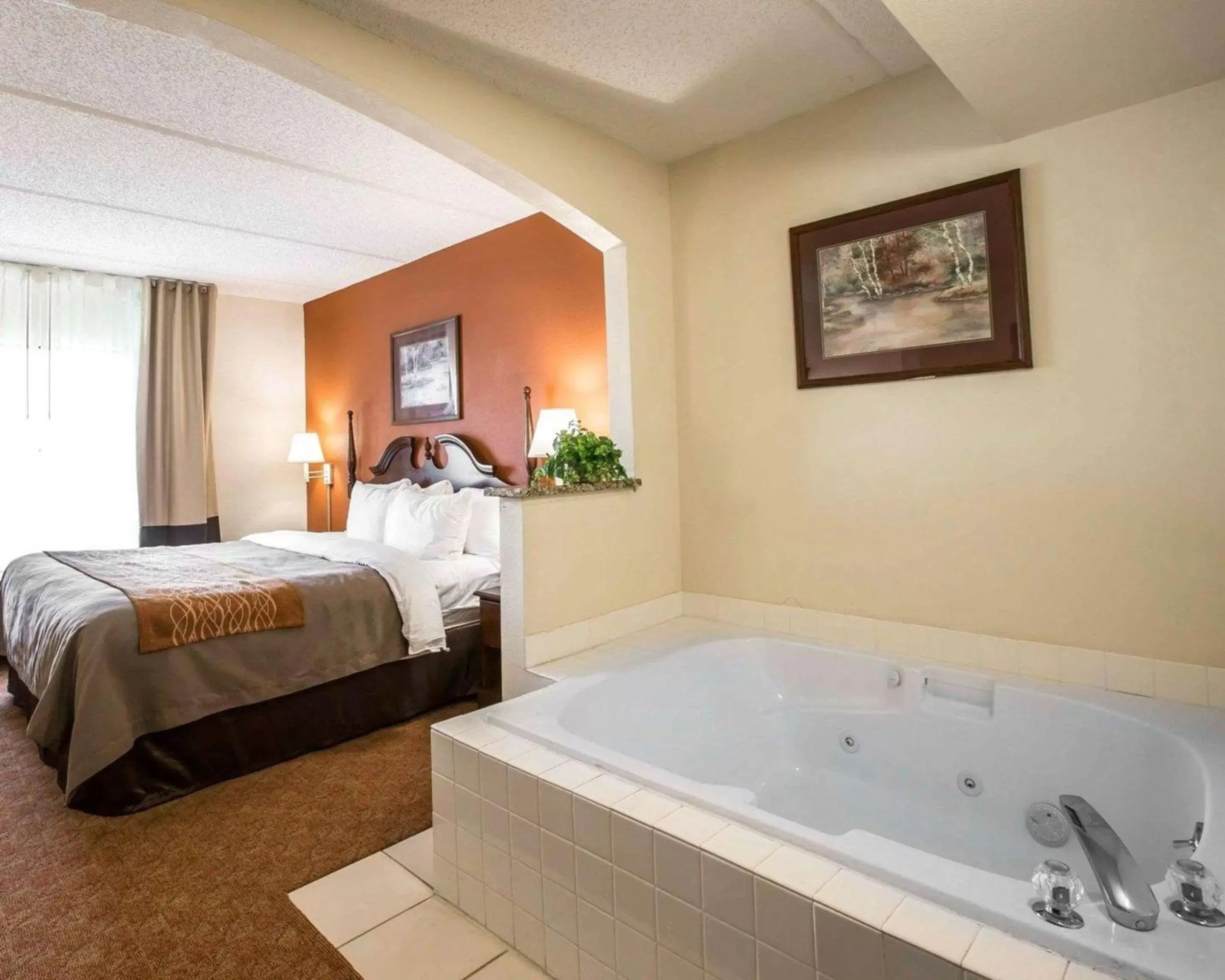 Bedroom in Comfort Inn & Suites at I-85