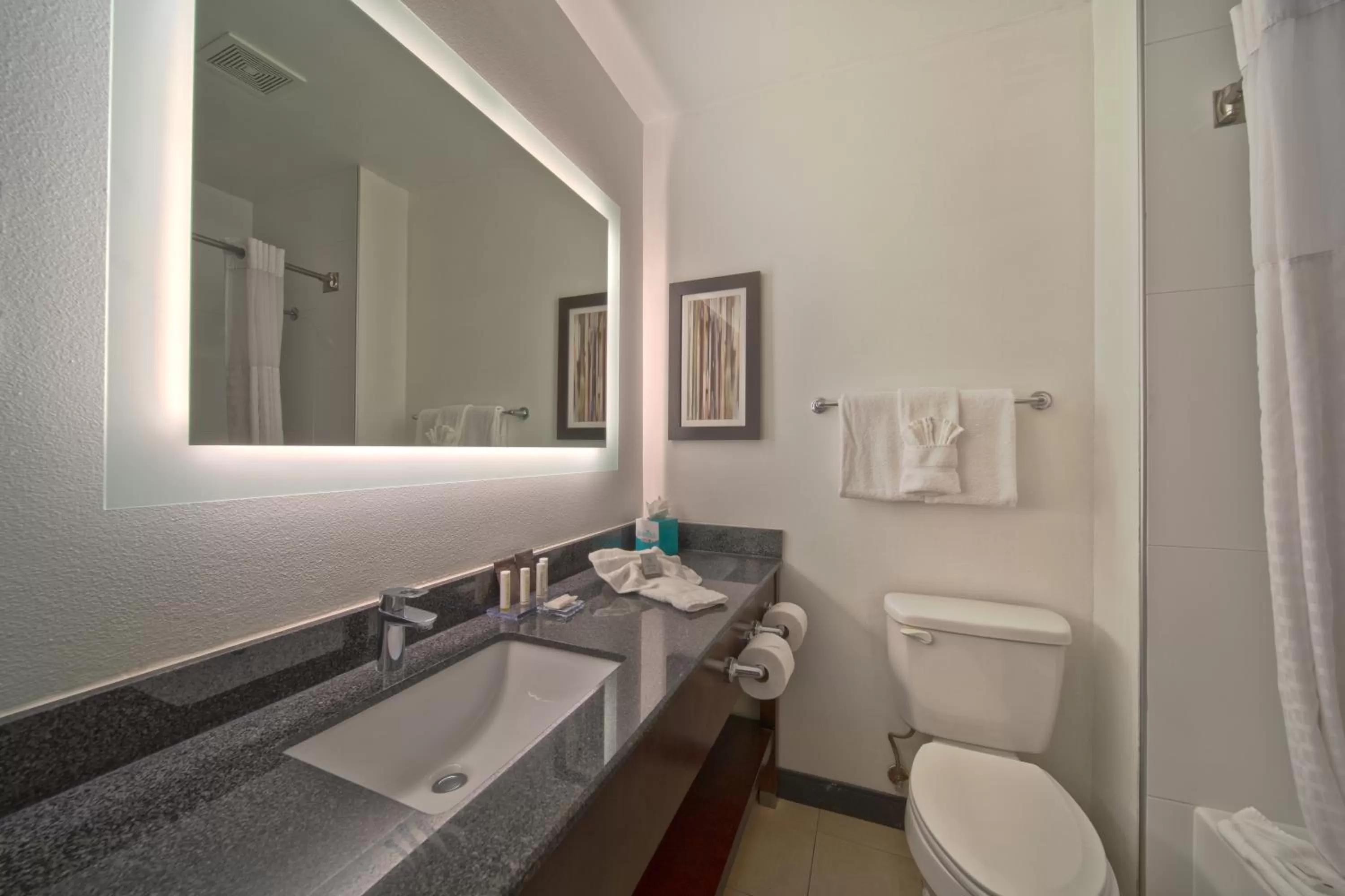 Bathroom in Wingate by Wyndham and Williamson Conference Center