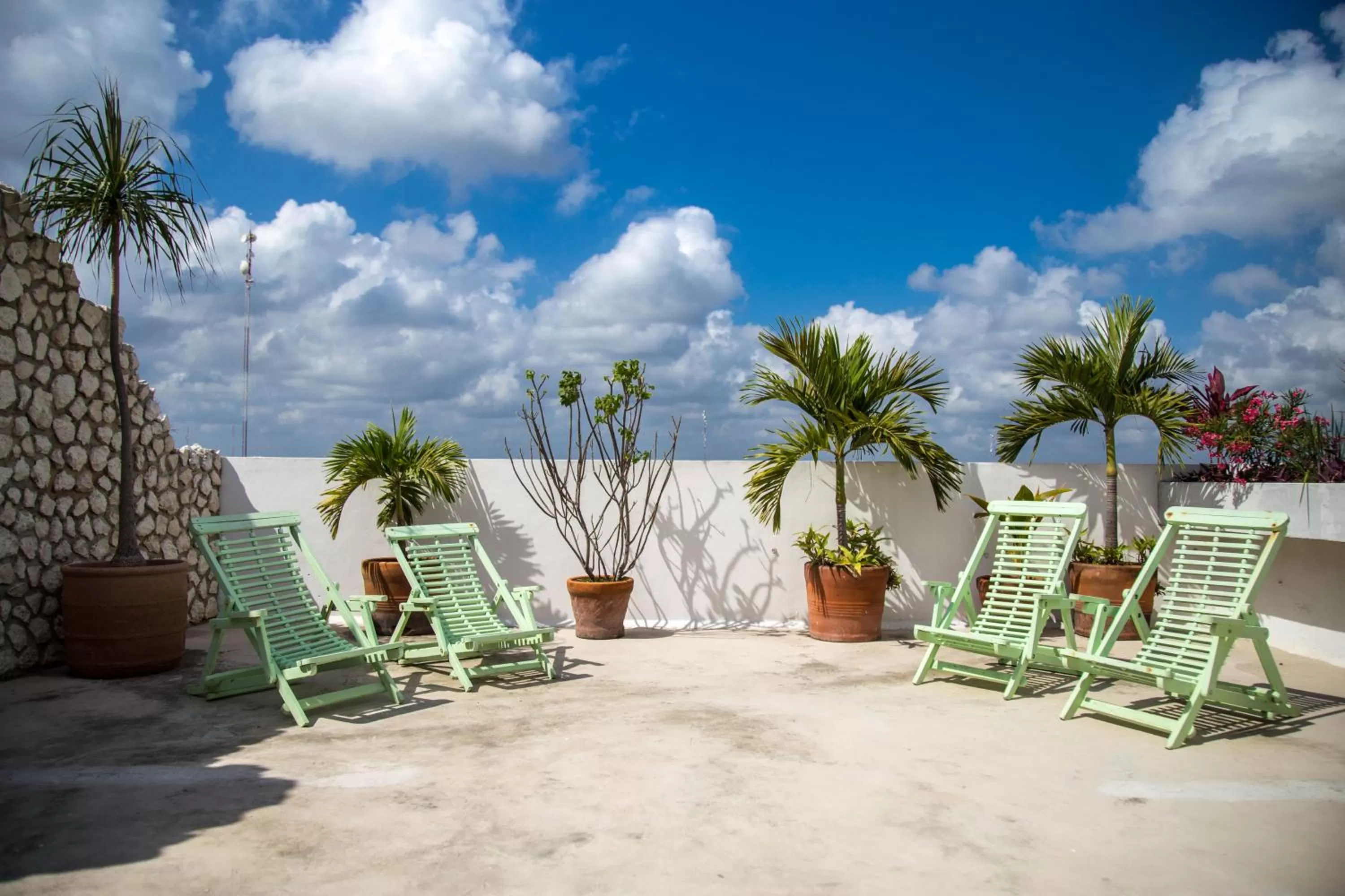 Balcony/Terrace in La Palmita Budget Boutique Hotel