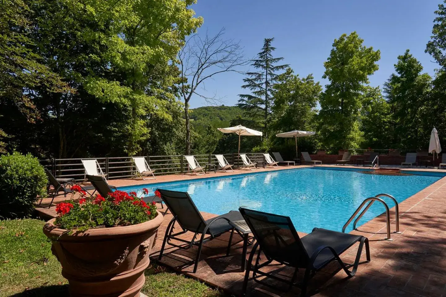 Restaurant/places to eat, Swimming Pool in Park Hotel Chianti