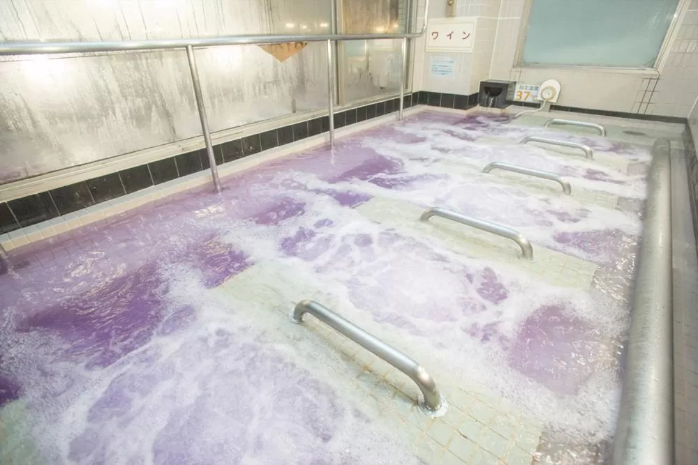 Kur and Hotel Suruga