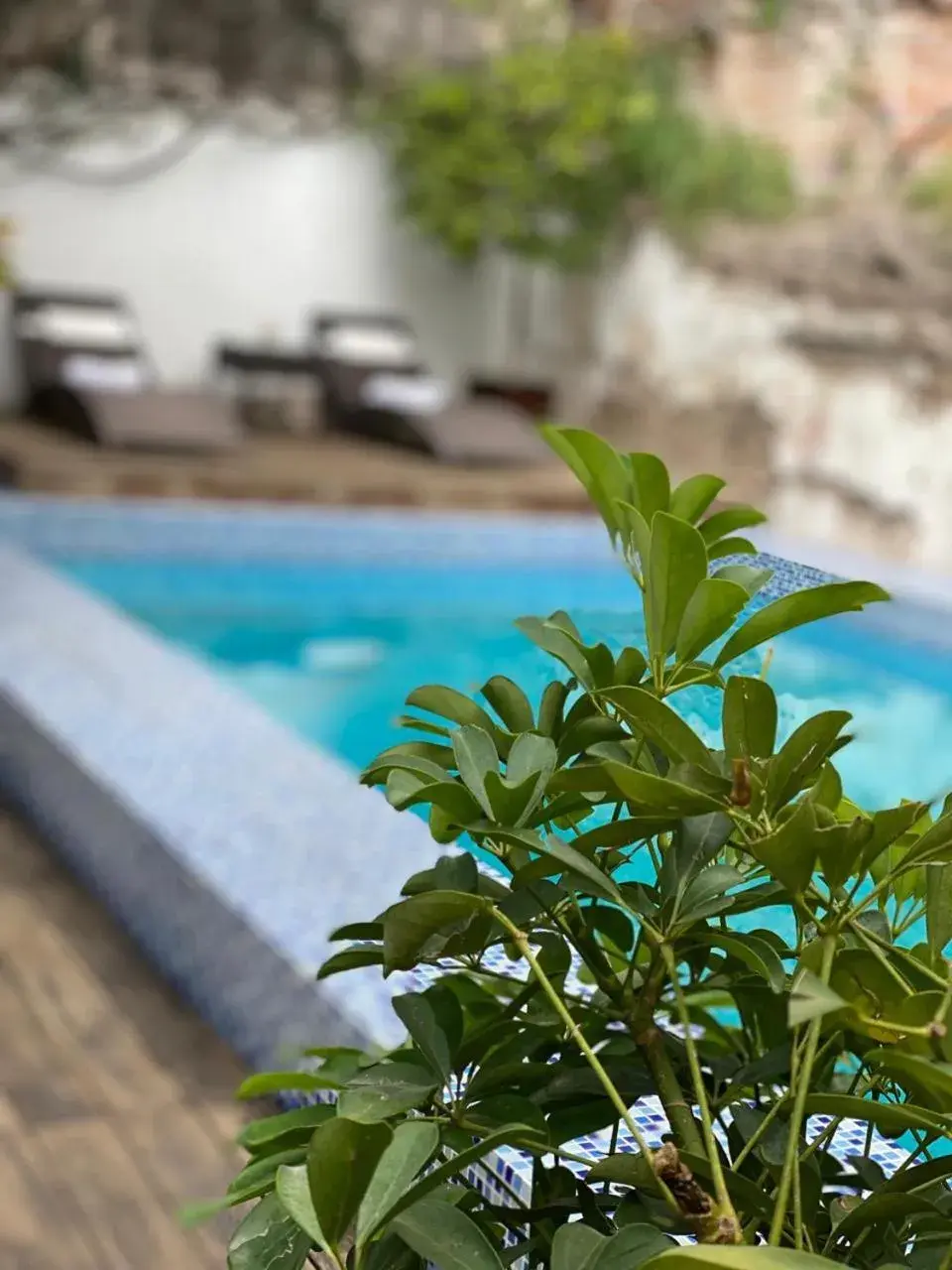 Swimming Pool in Hotel Boutique Hacienda Guadalupe