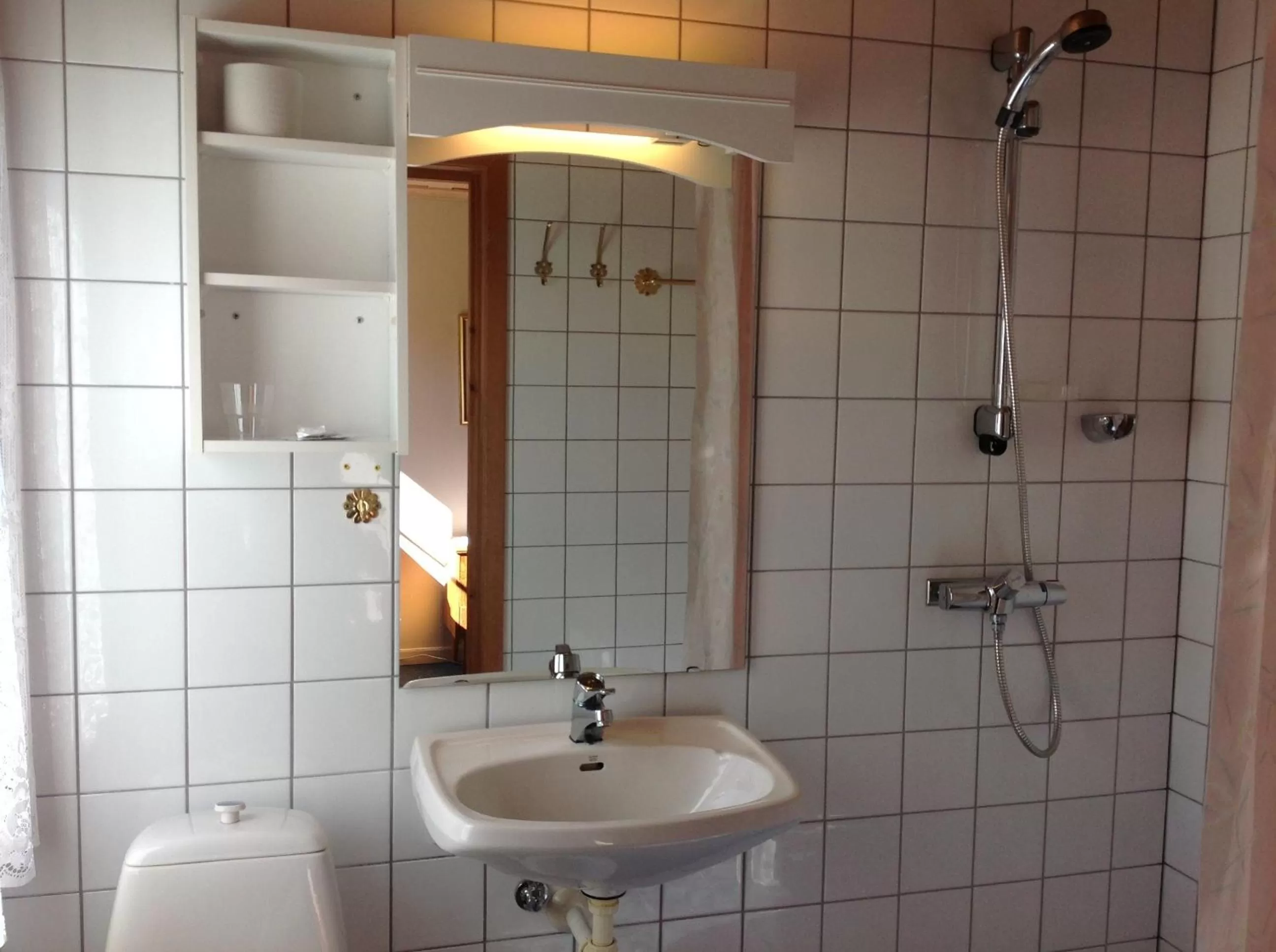 Single Room in Smedsgården Hotel