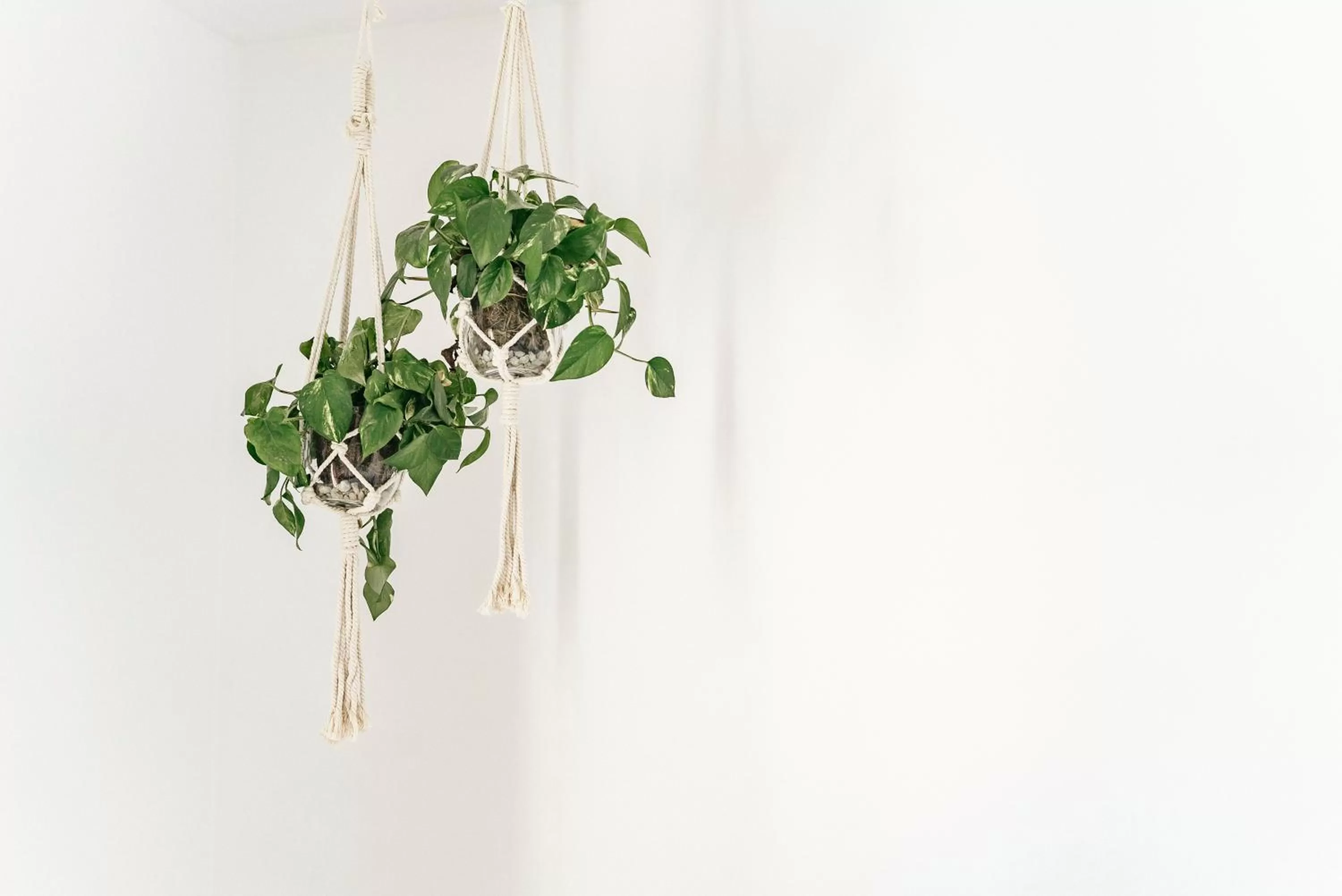 Dreamsea Surf Guest House