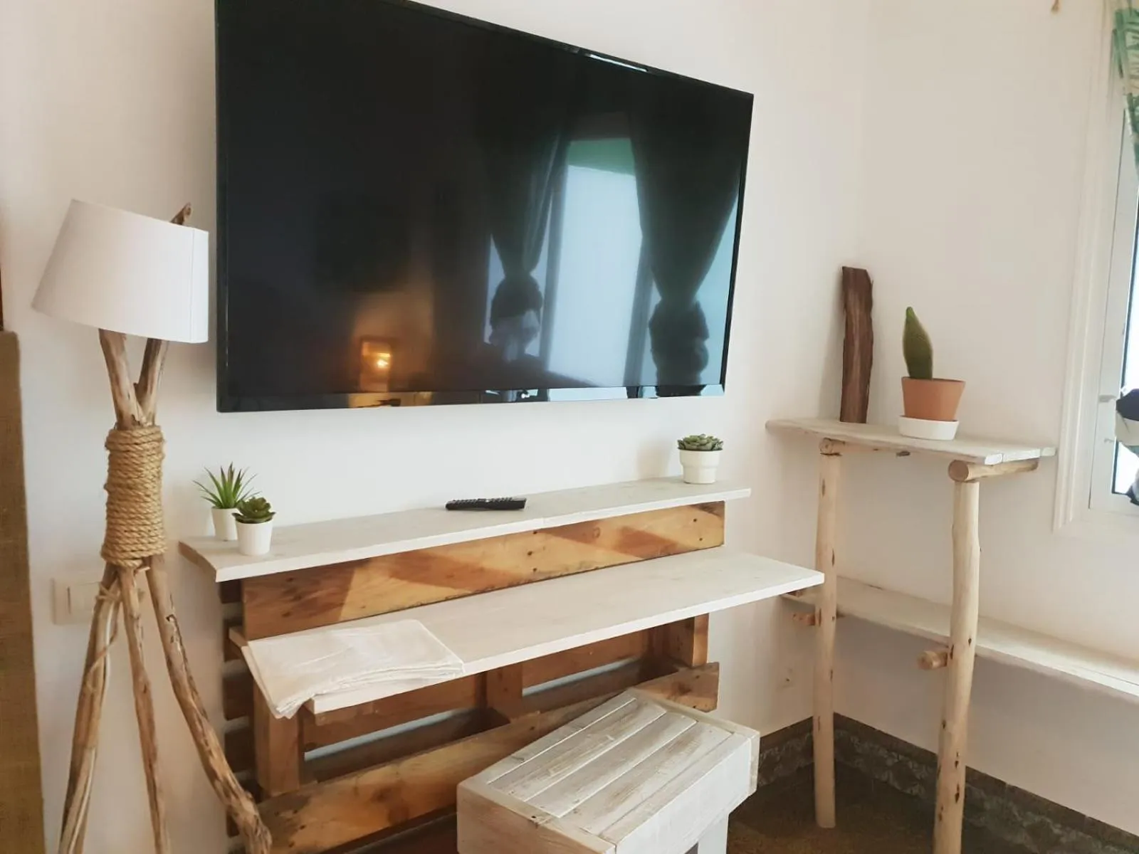 TV and multimedia in Cactus Host