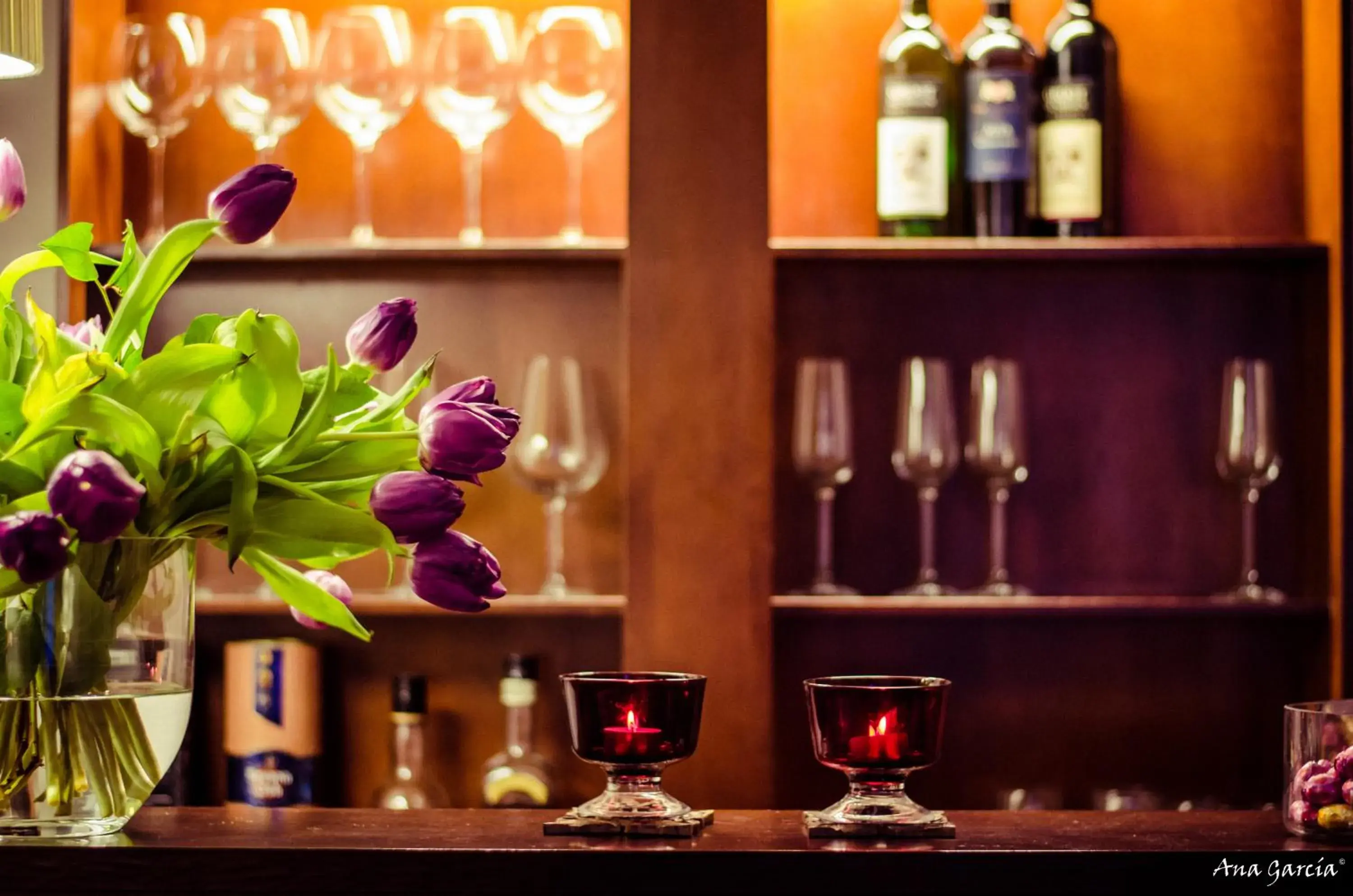 Lounge or bar, Drinks in Hotel Botaniek