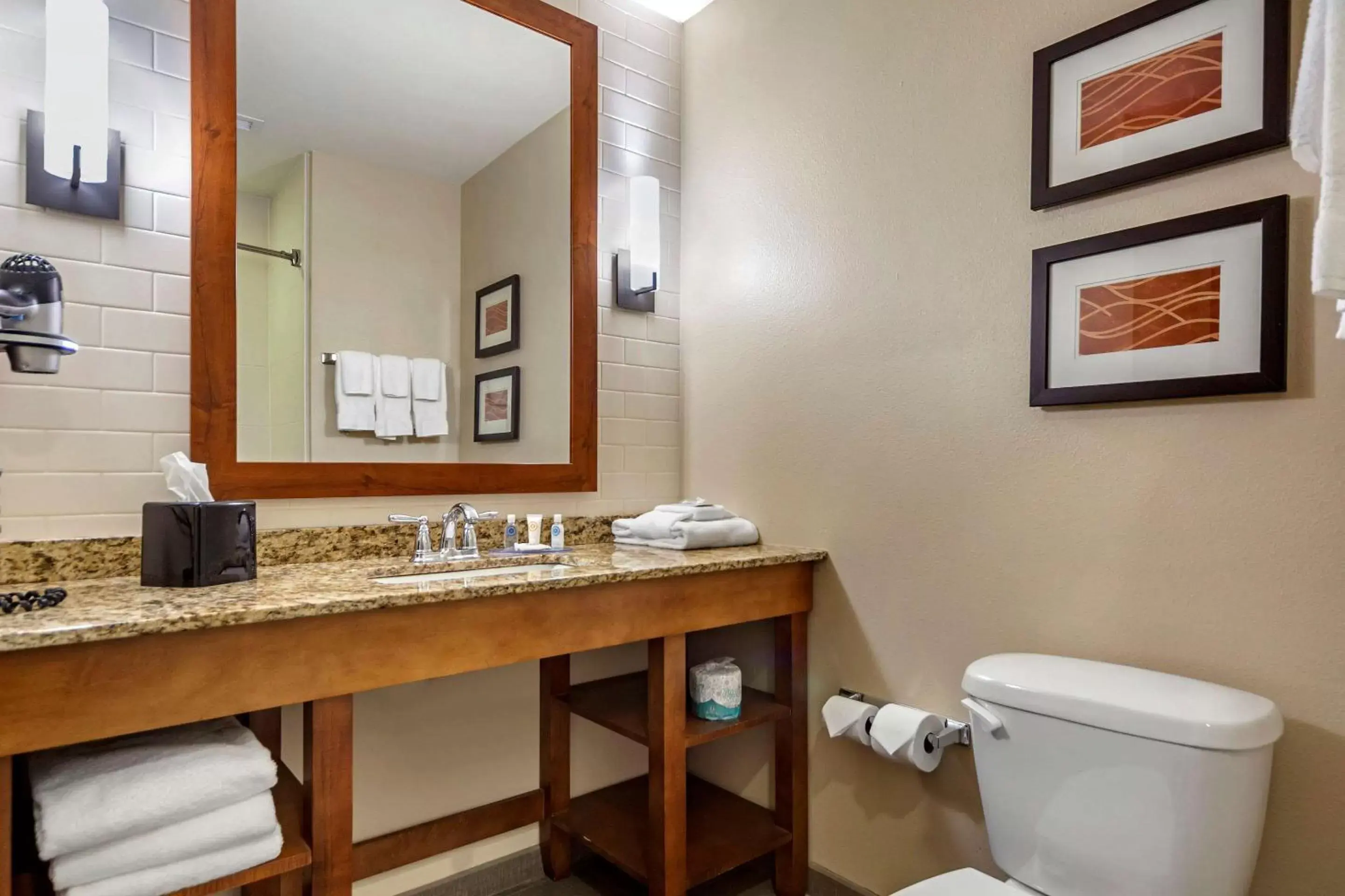 Bathroom in Comfort Inn & Suites Avera Southwest
