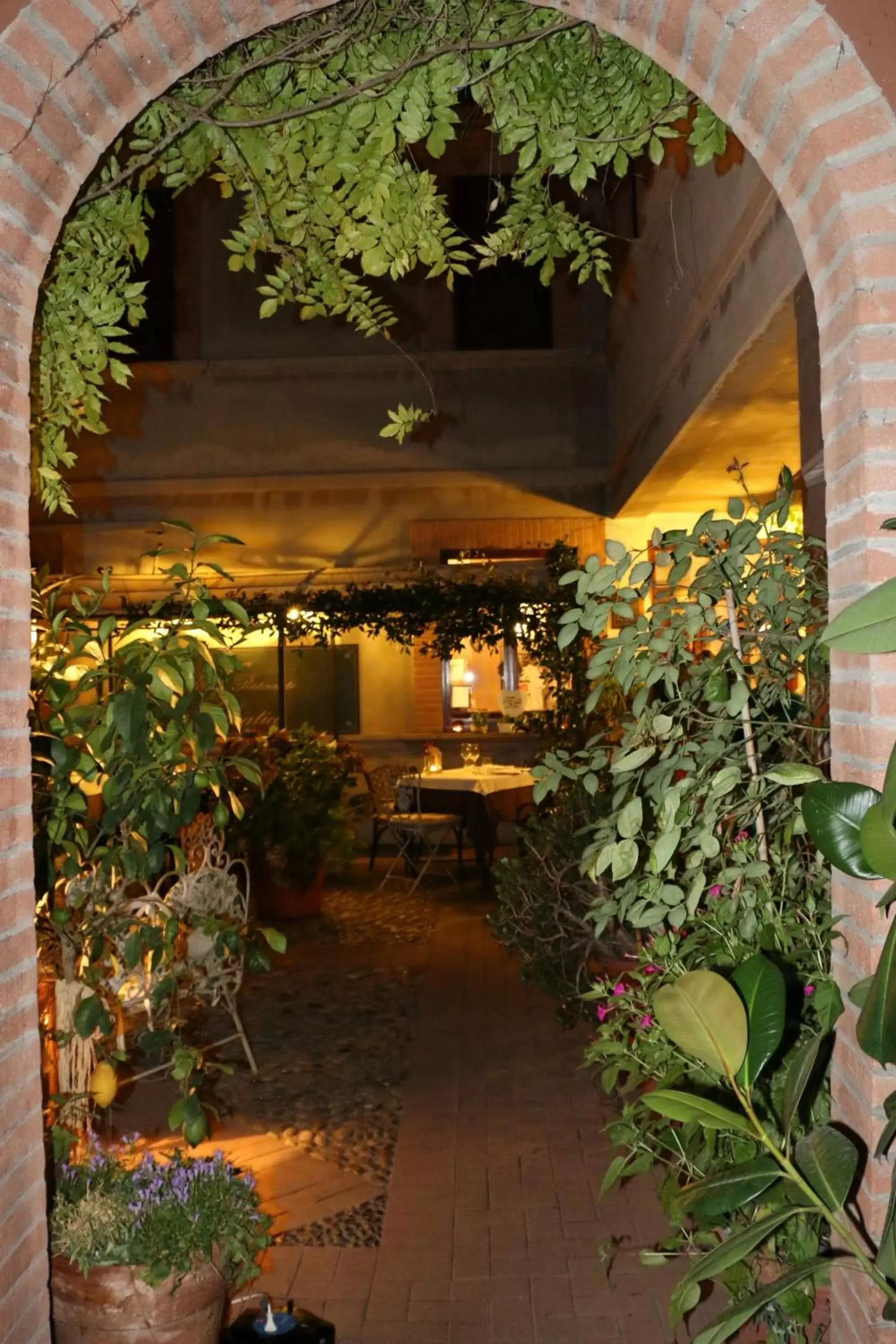 Patio, Lounge/Bar in Albergo Selvatico