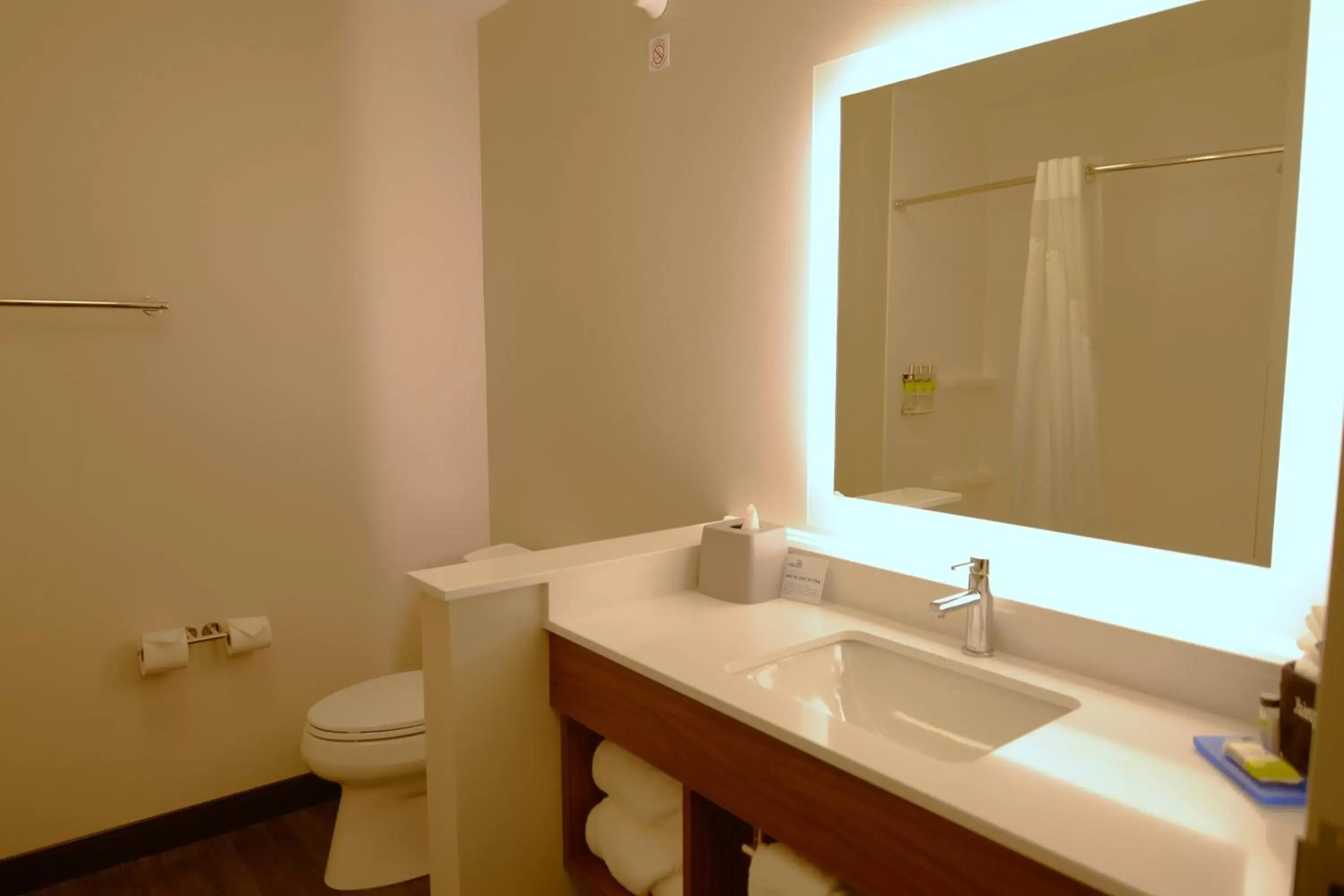 Bathroom in Holiday Inn Express & Suites Onalaska - La Crosse Area, an IHG Hotel