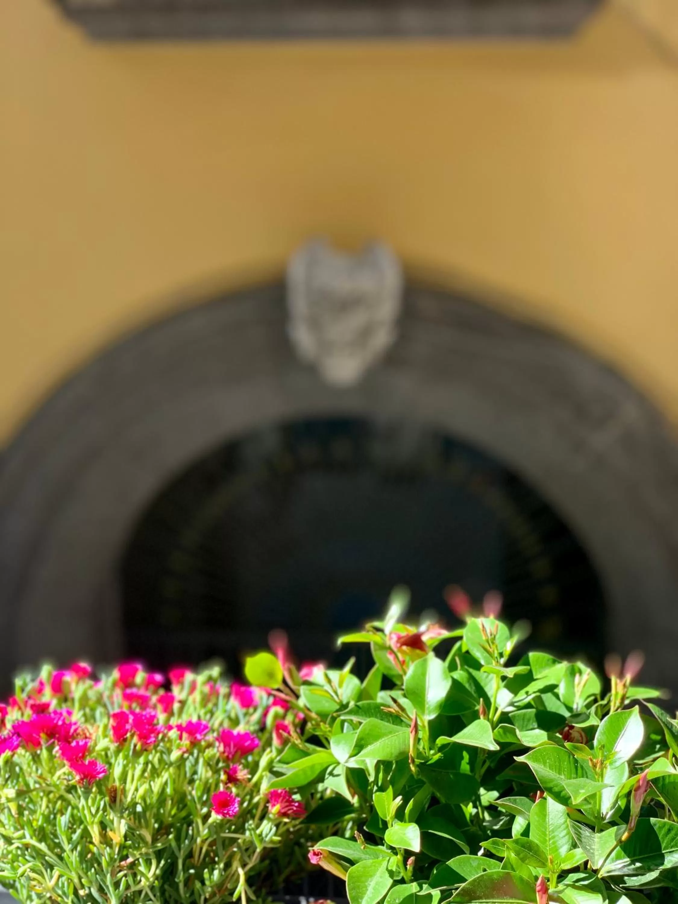 Balcony/Terrace in Toledo Boutique Rooms