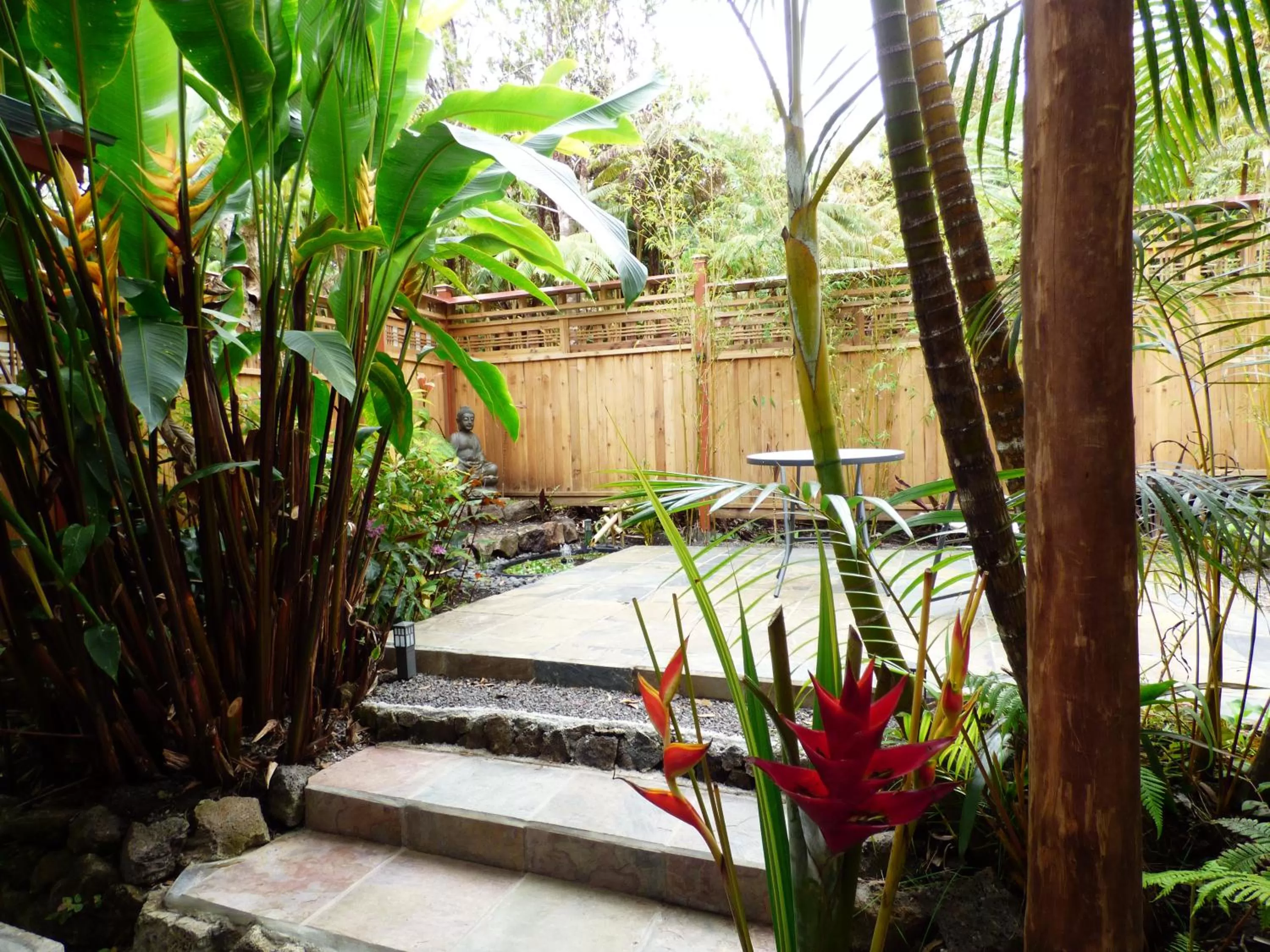 Garden in Lotus Garden Cottages