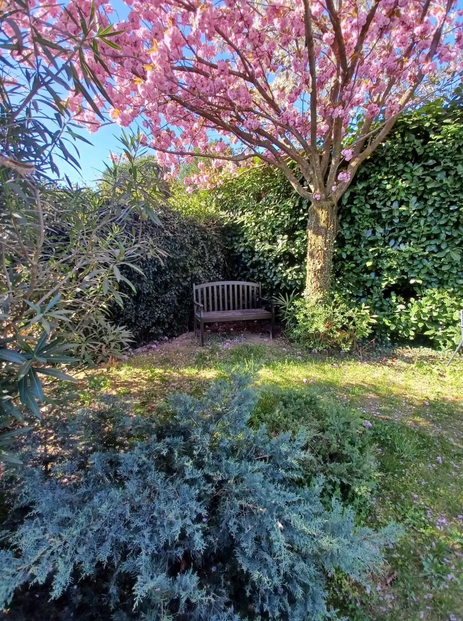 Spring, Garden in CASABELLA-LAGO MAGGIORE