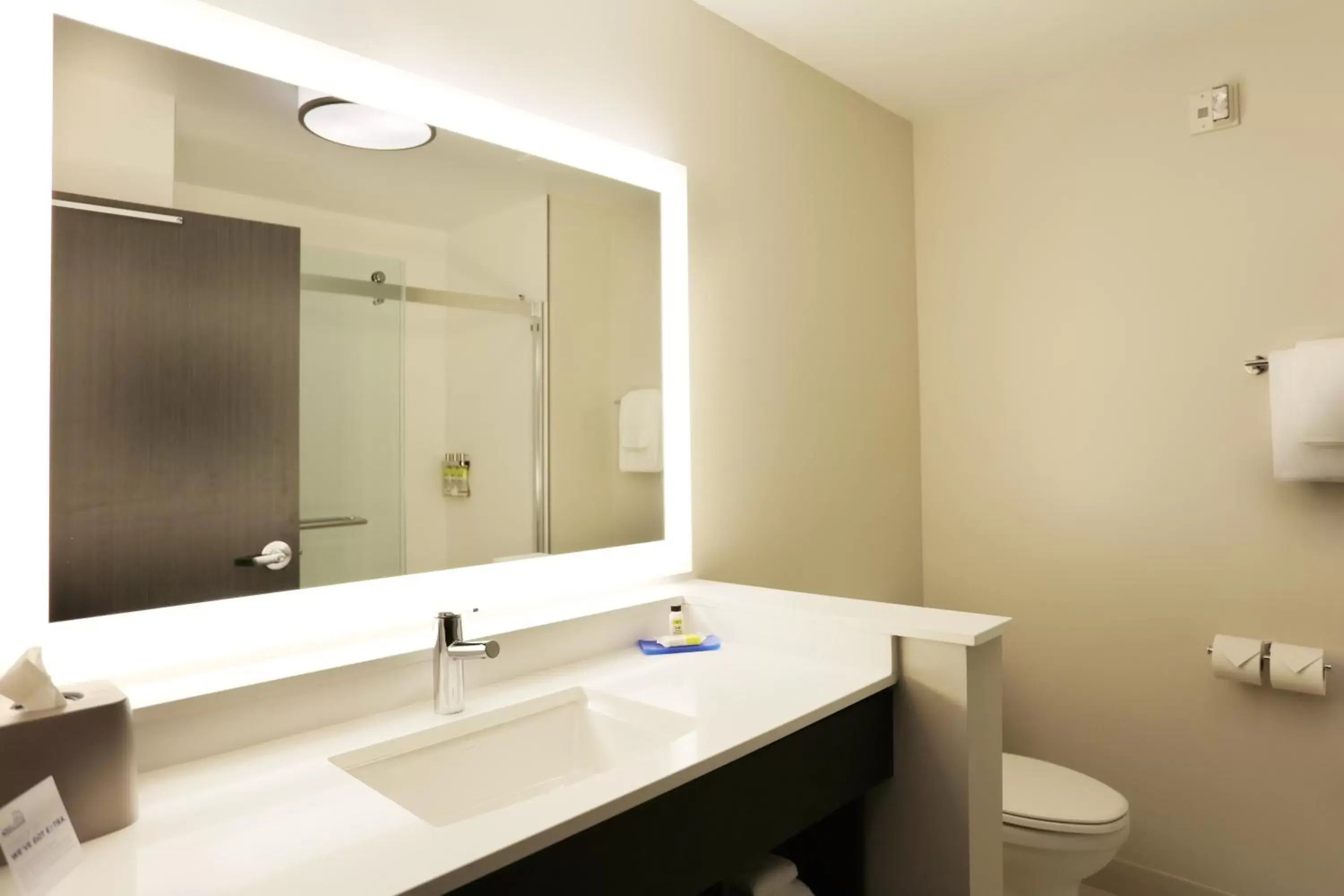 Bathroom in Holiday Inn Express - Oneonta, an IHG Hotel