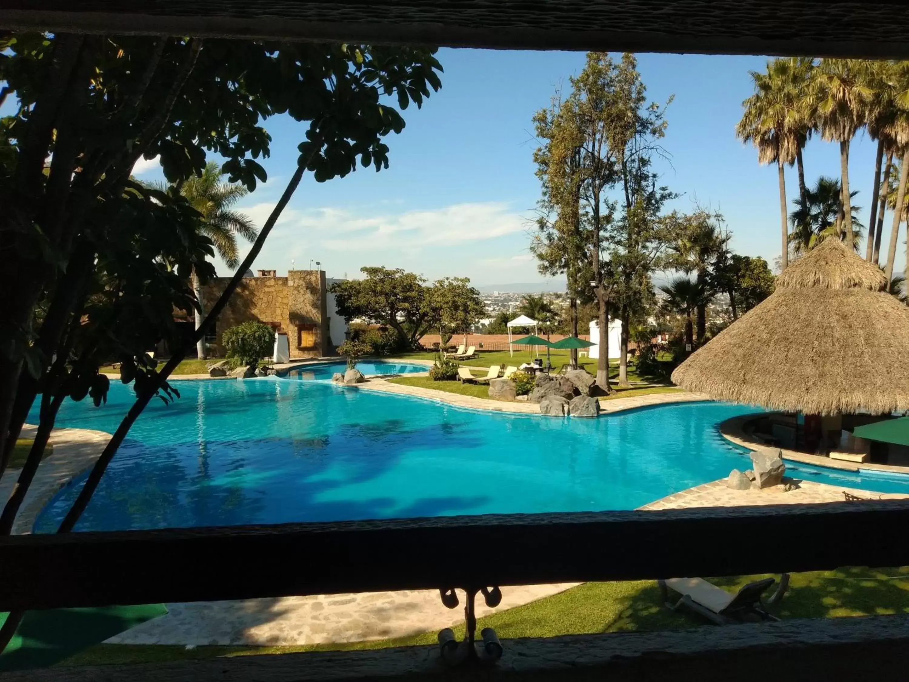 Pool view, Swimming Pool in Radisson Hotel Tapatio Guadalajara