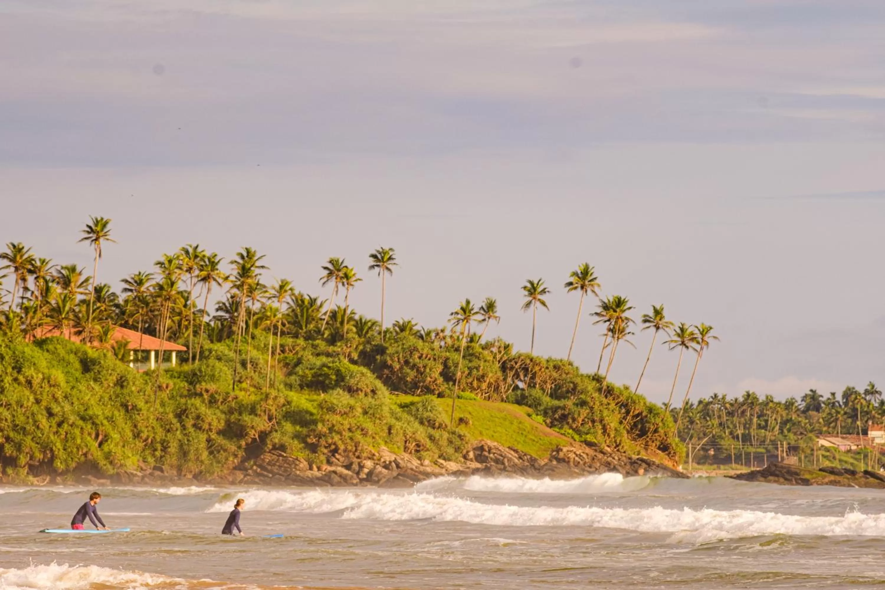 Beach in The Seascape