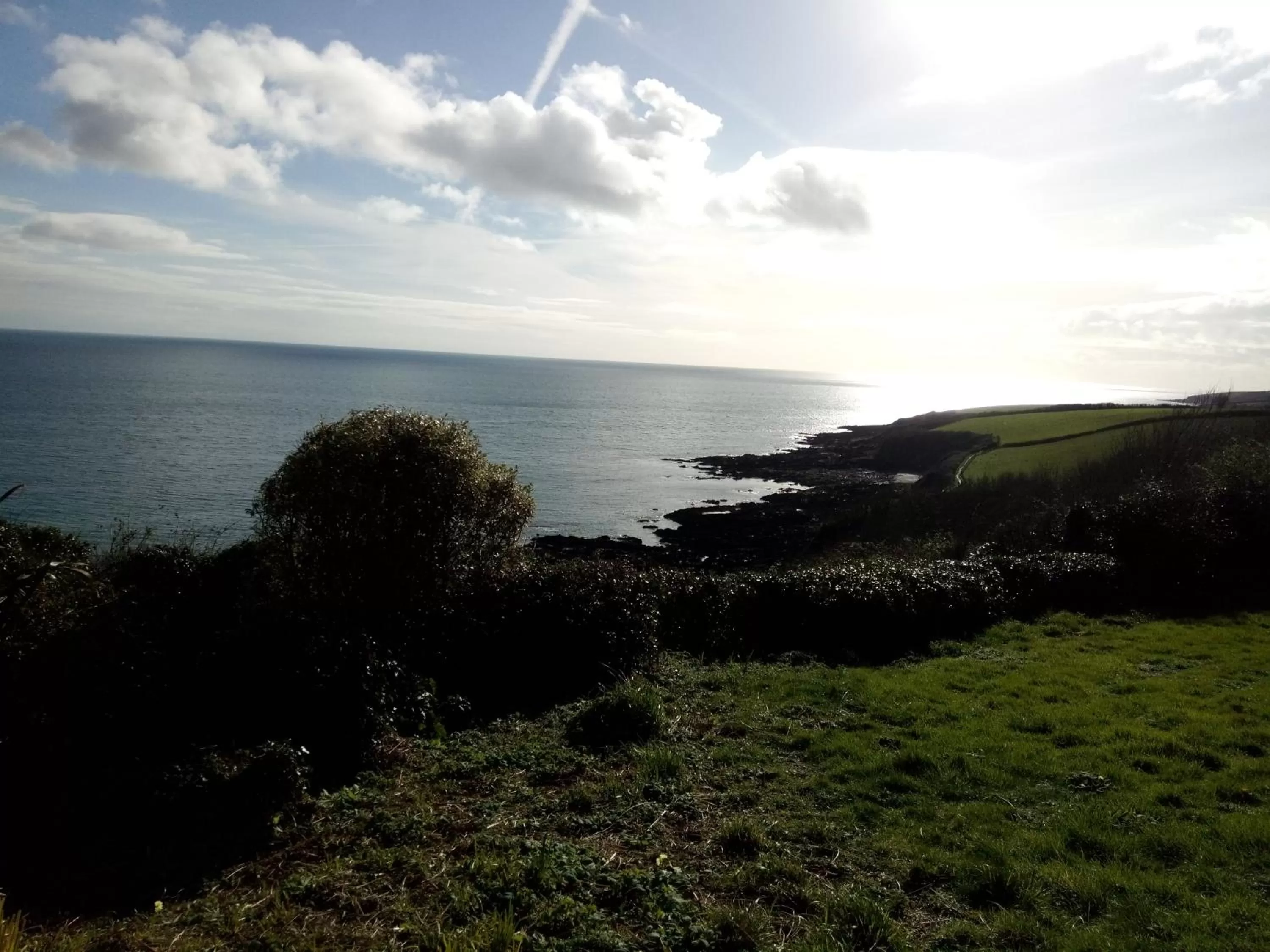 Garden in Driftwood B&B