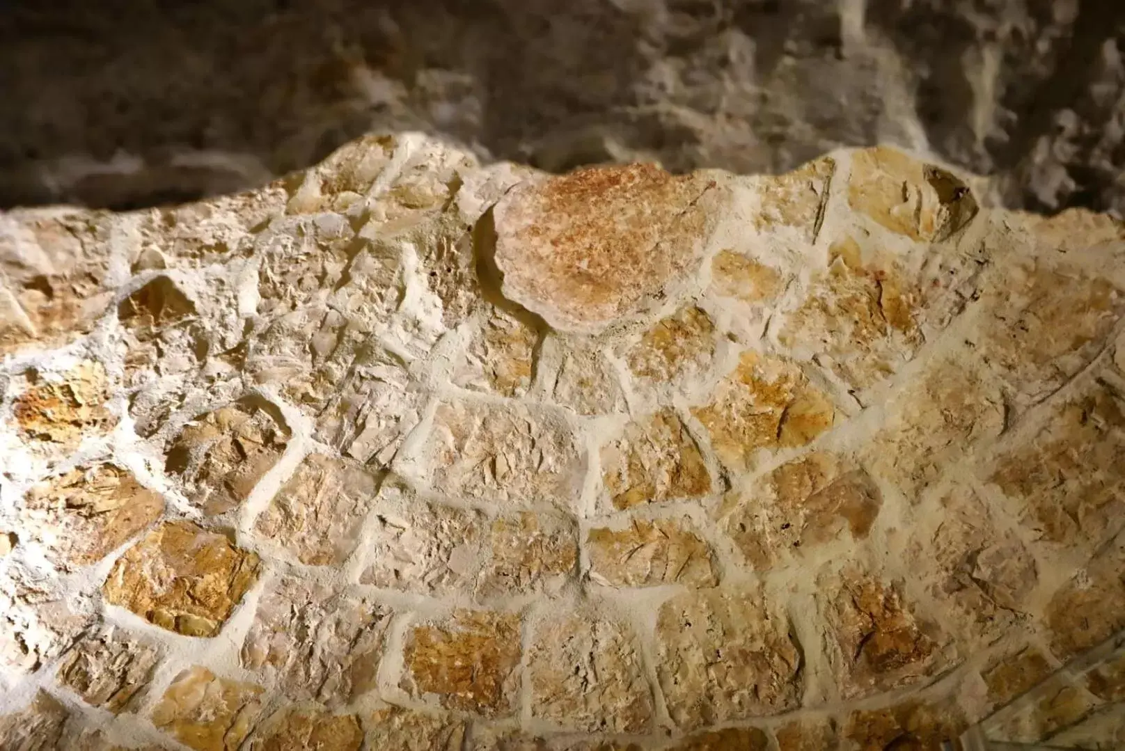 Decorative detail, Food in TRULLO CARMEN