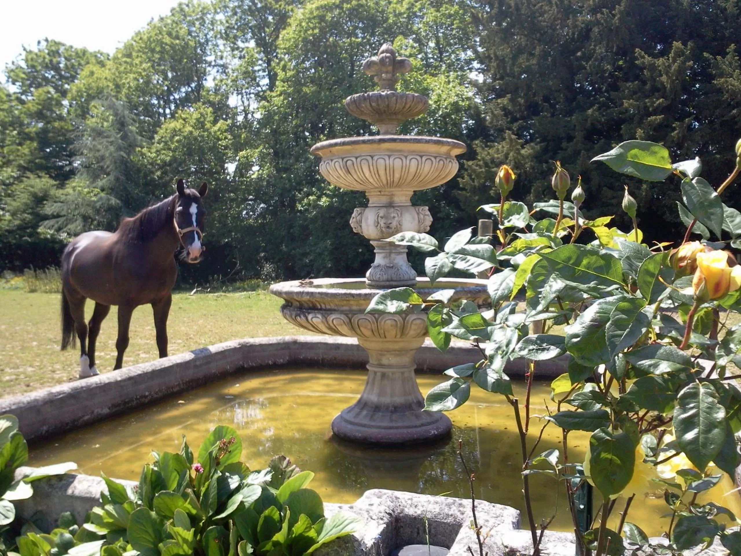 Garden view in Manoir de la Peignie