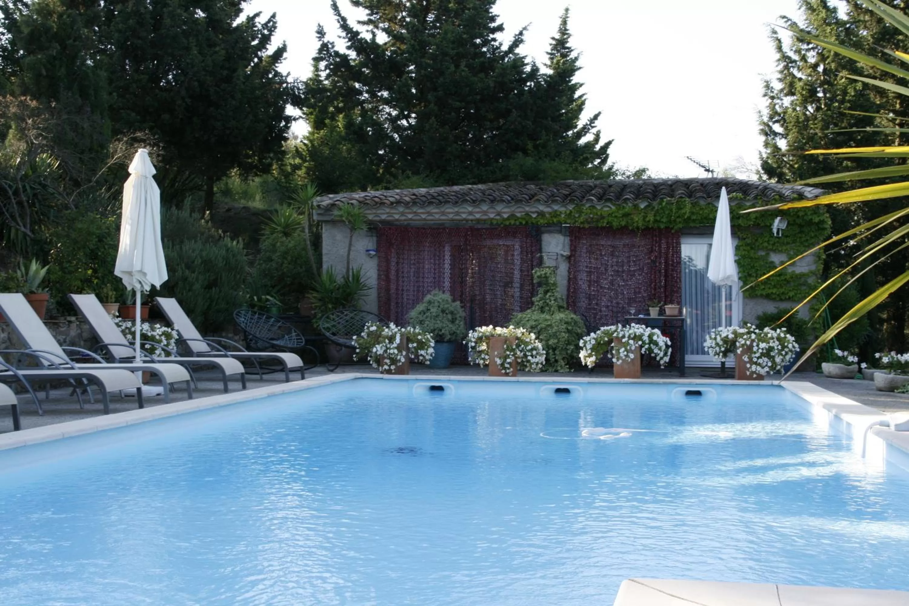 Swimming Pool in La Maison sur la Colline