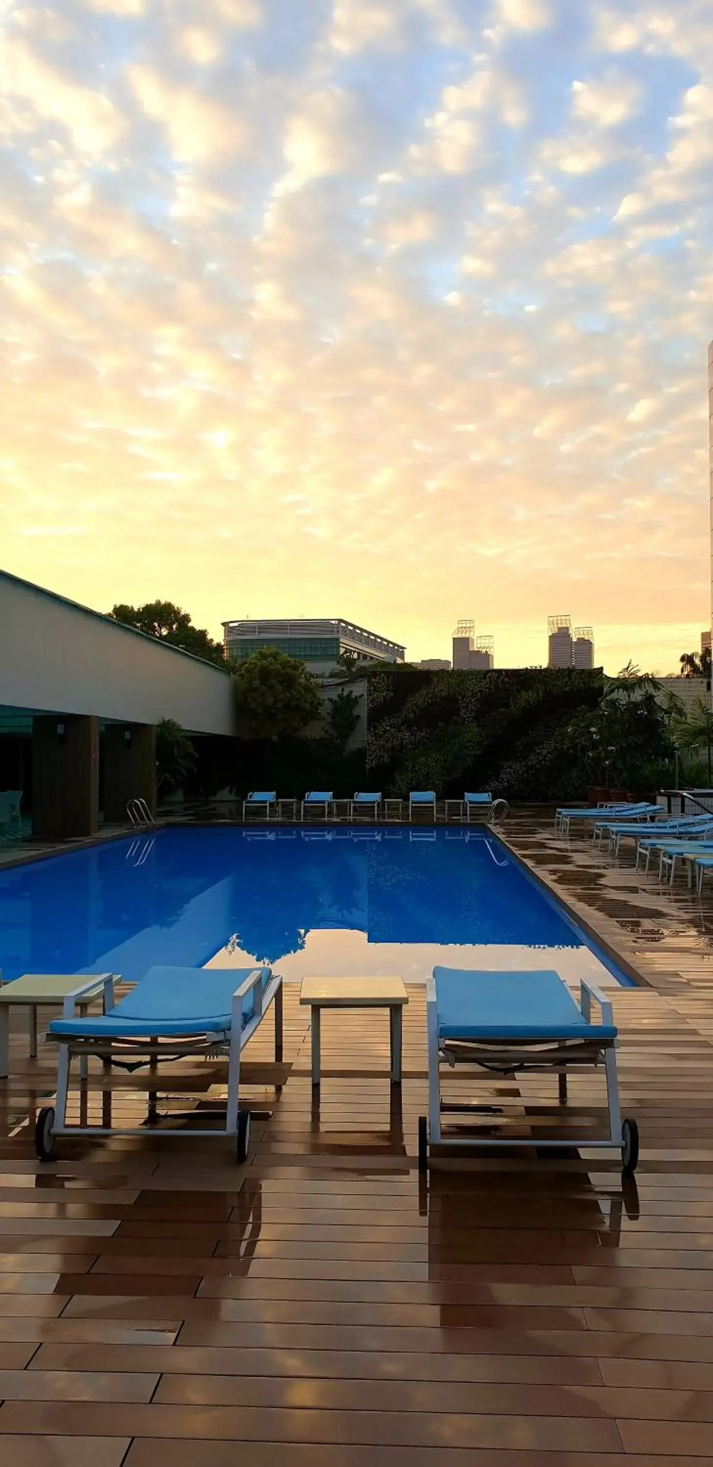 Swimming Pool in Concorde Hotel Singapore