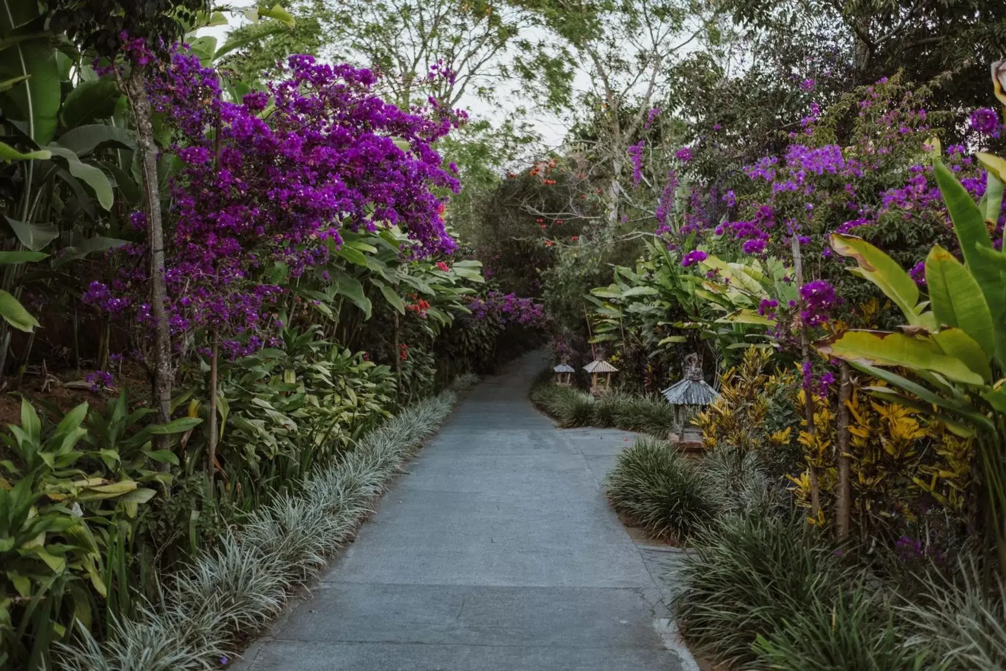 Garden in Munduk Moding Plantation Nature Resort & Spa